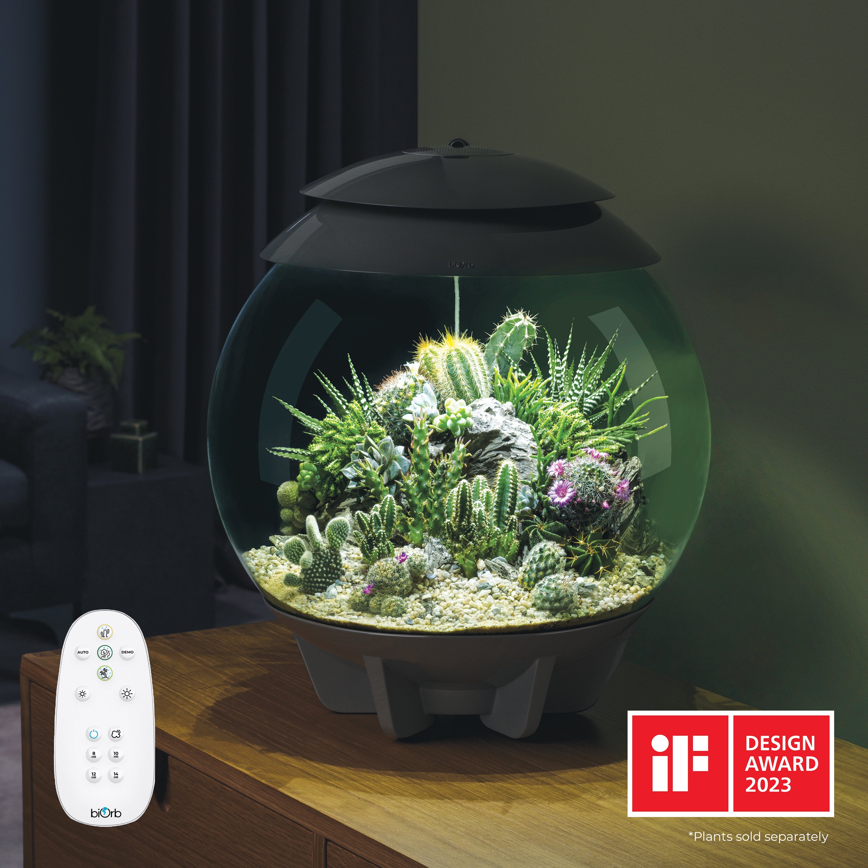 AIR 30 Terrarium - Grey In Use