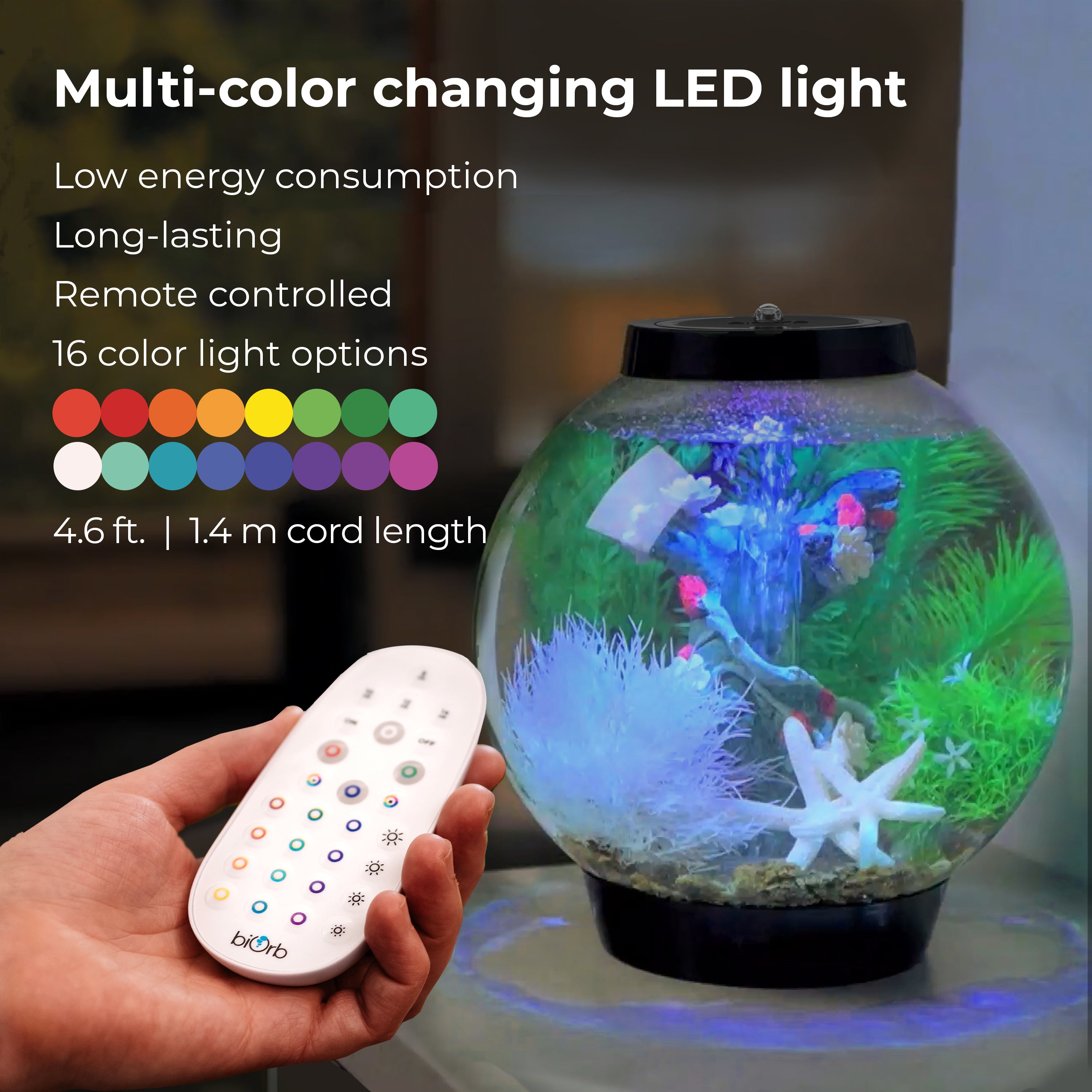 CLASSIC 15 Aquarium with Multi Colour LED Light - Multi-color changing LED light