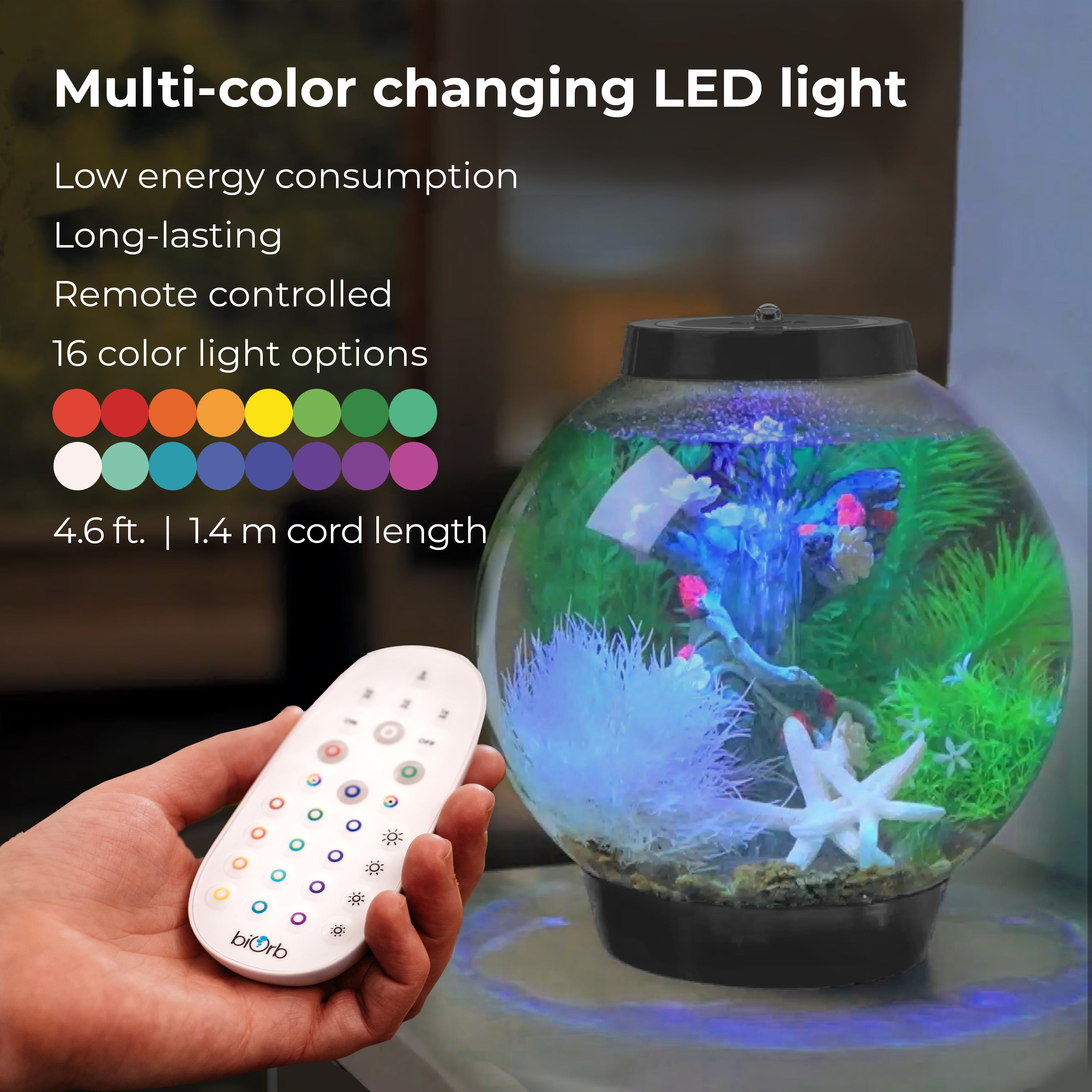CLASSIC 15 Aquarium with Multi Colour LED Light - Multi-color changing LED light