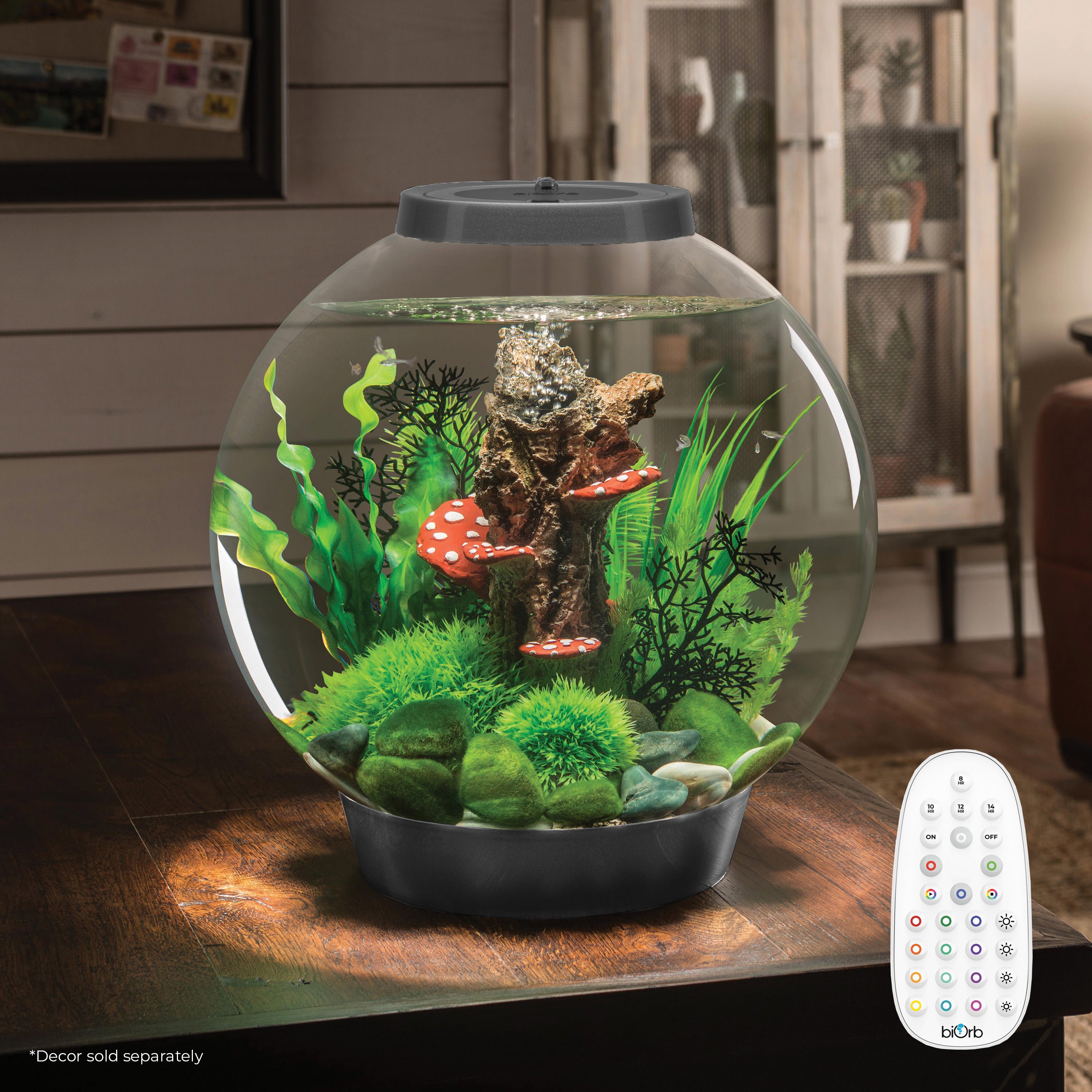 CLASSIC 30 Aquarium with Multi Colour LED Light - Silver In Use