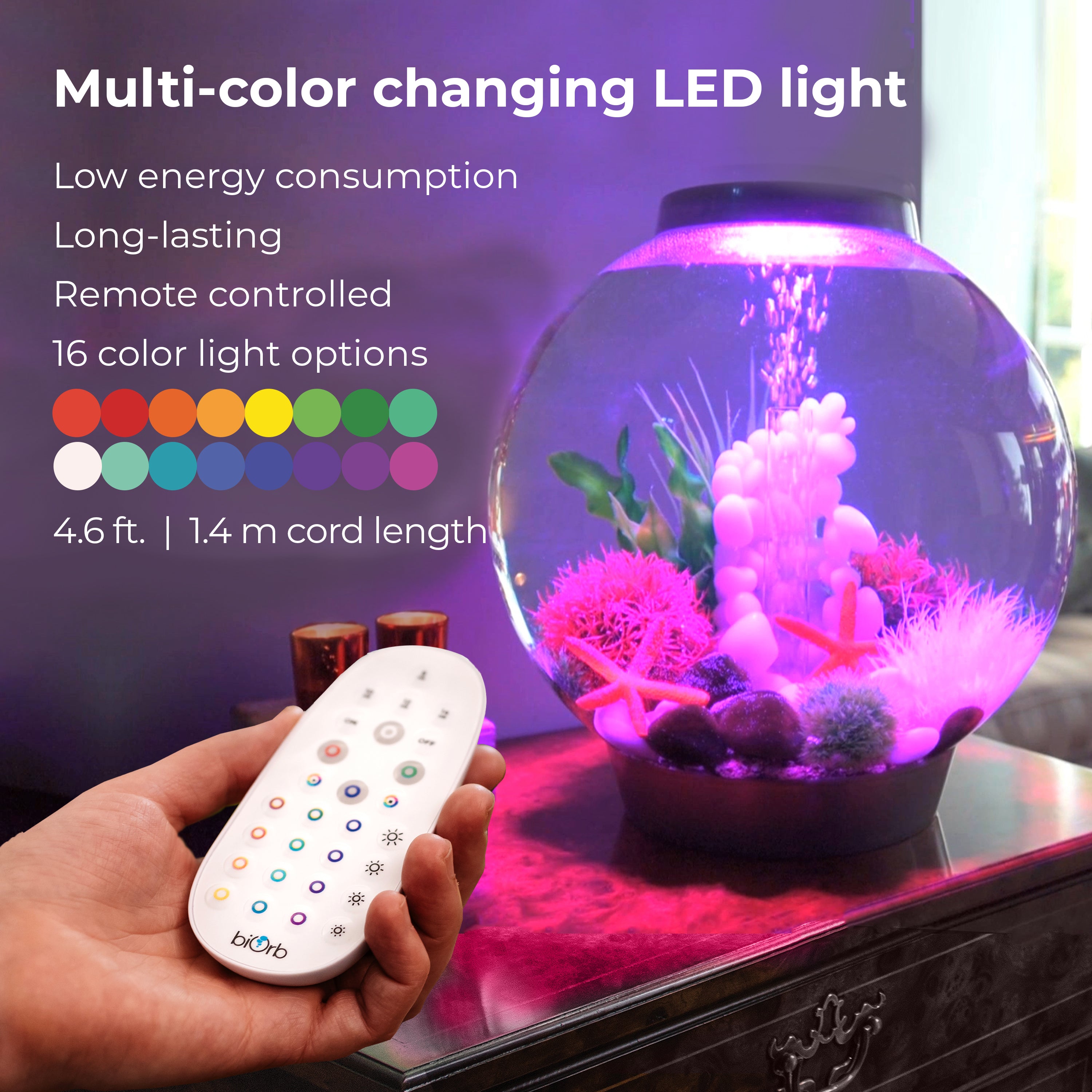 CLASSIC 30 Aquarium with Multi Colour LED Light - Multi-color changing LED light