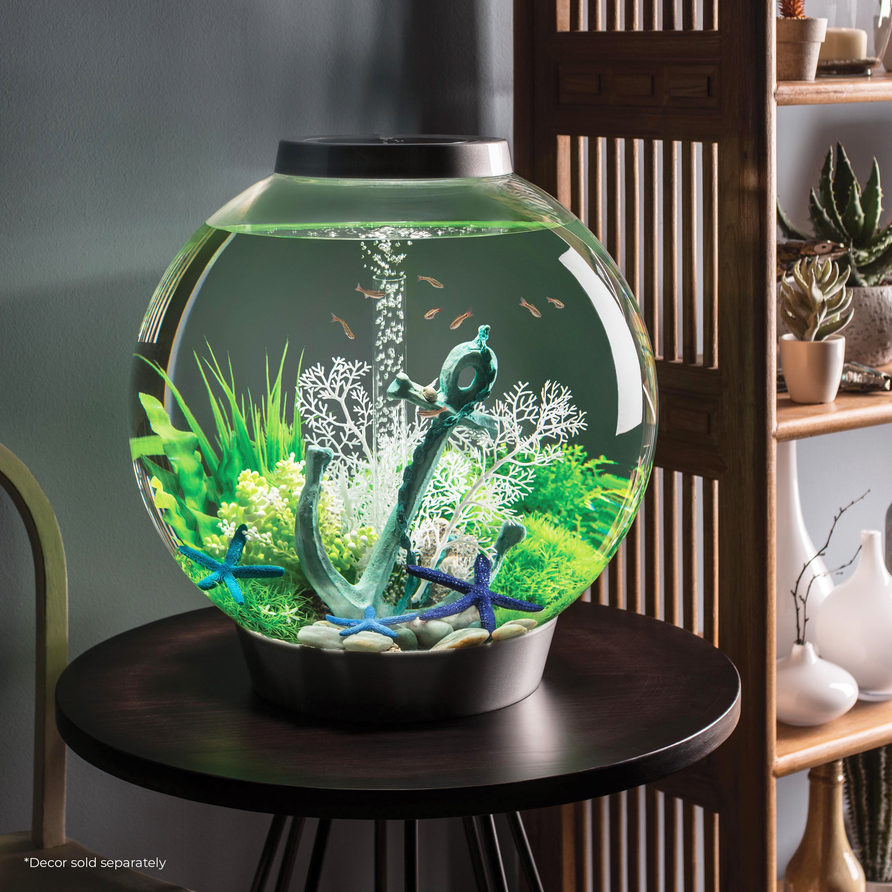CLASSIC 60 Aquarium with Standard White LED Light - Black In Use