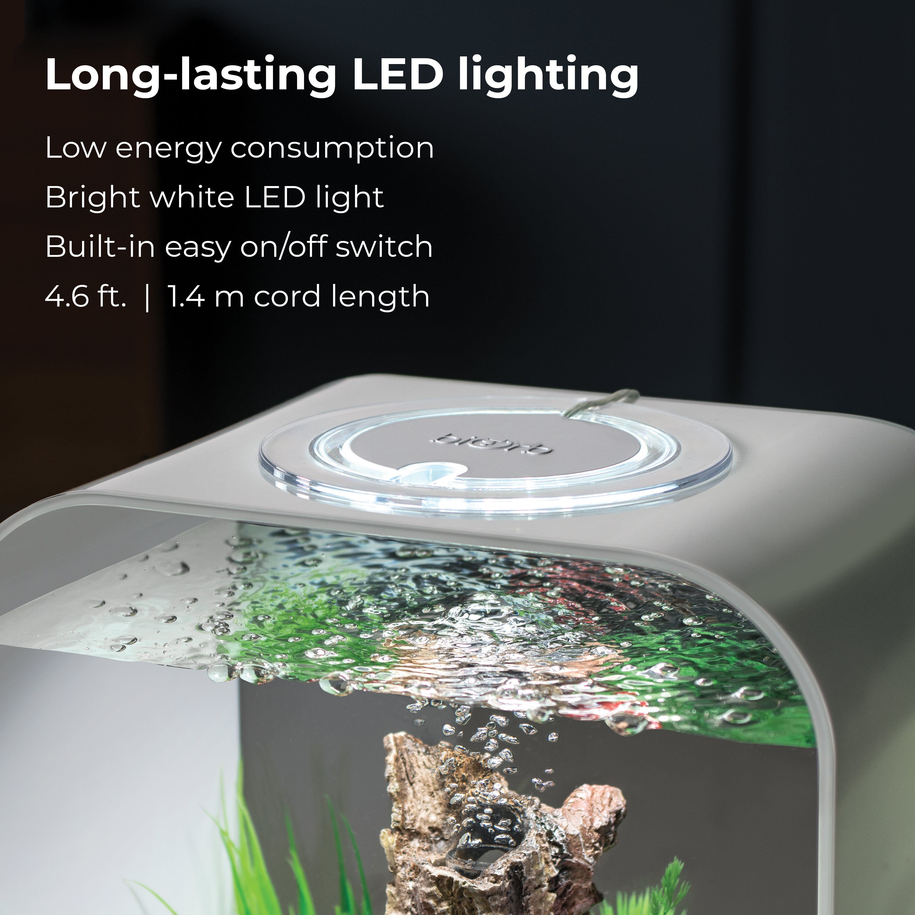 LIFE 15 Aquarium with Standard White LED Light - Long-lasting LED lighting