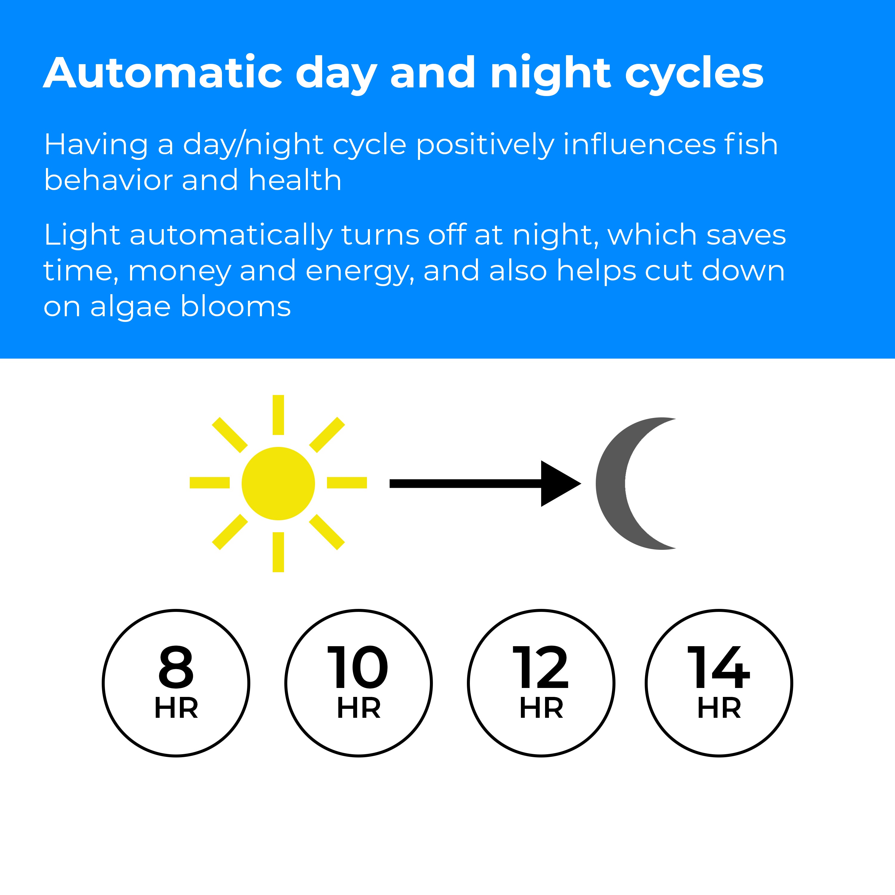 Small MCR LED Light Accessory - Automatic day and night cycles
