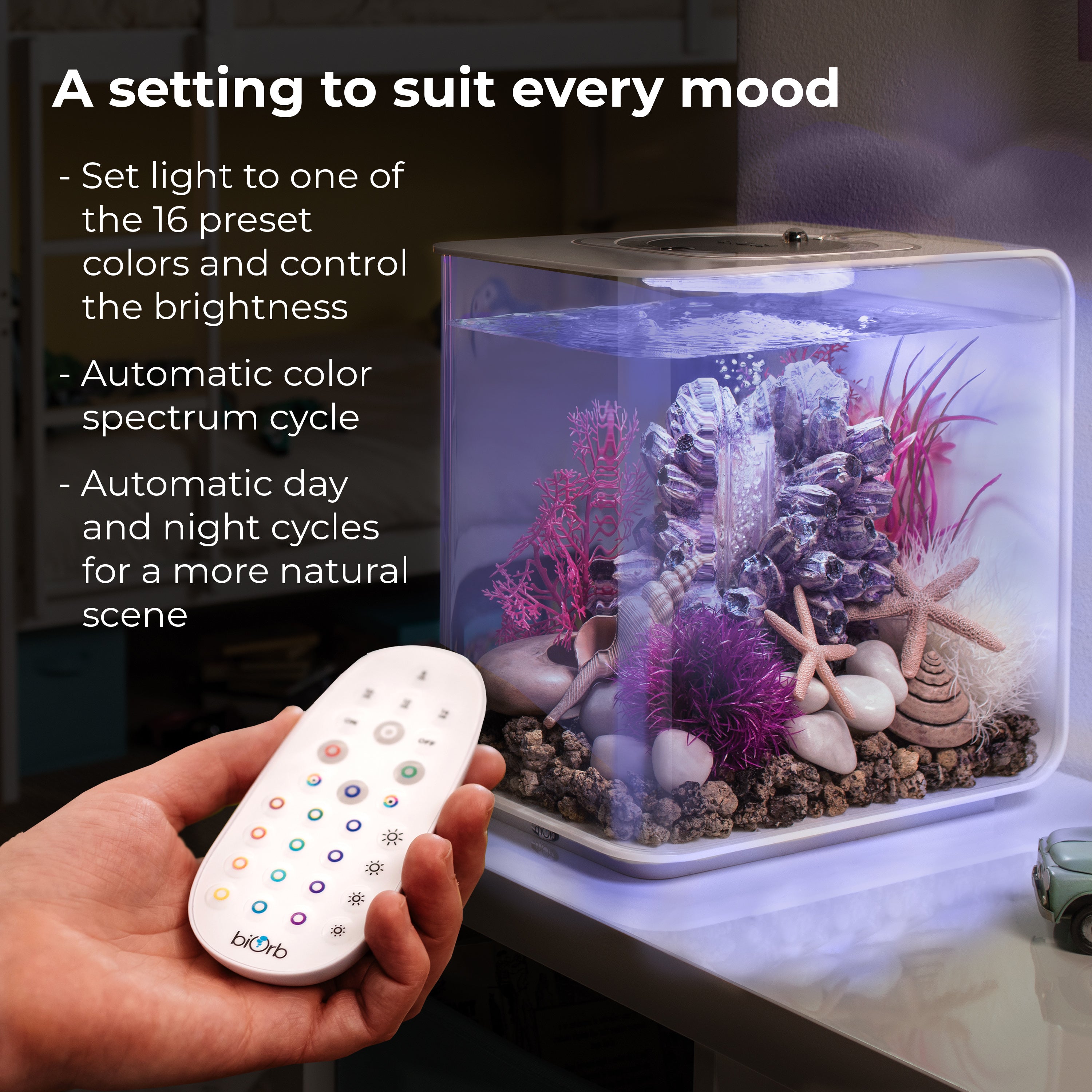 Large MCR LED Light Accessory - A setting to suit every mood