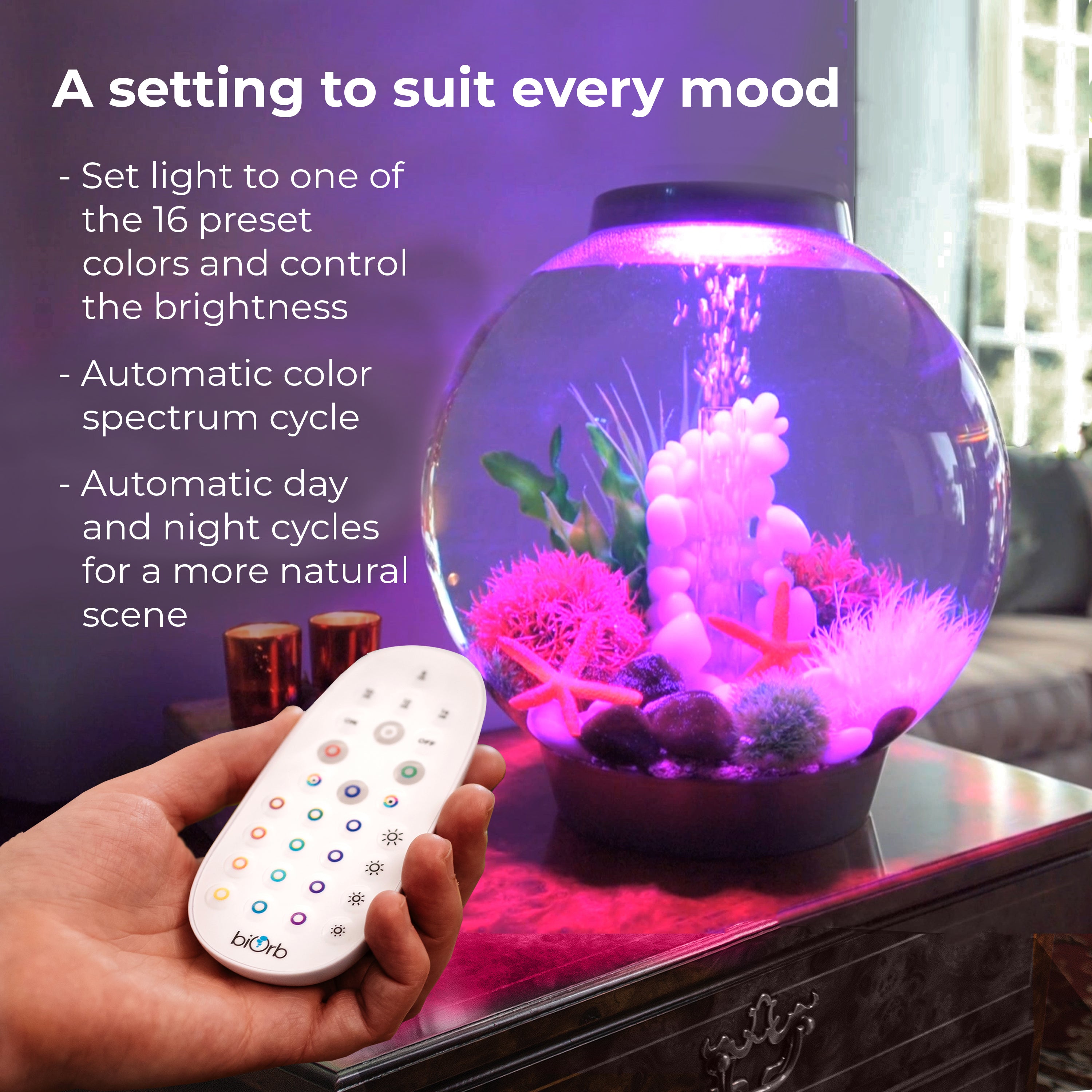 Small MCR LED Light Accessory - A setting to suit ever mood