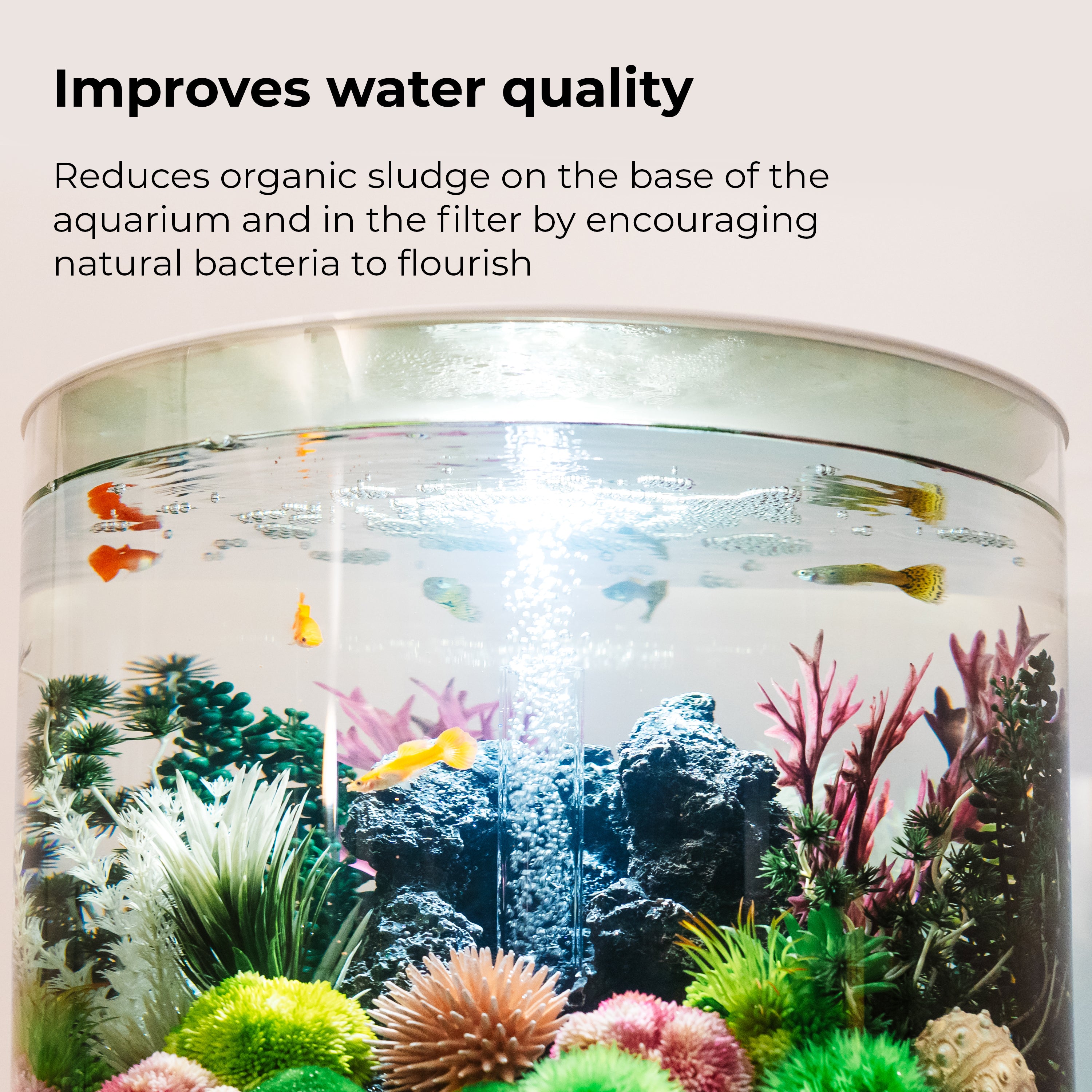 Biological Booster - Improves Water Quality