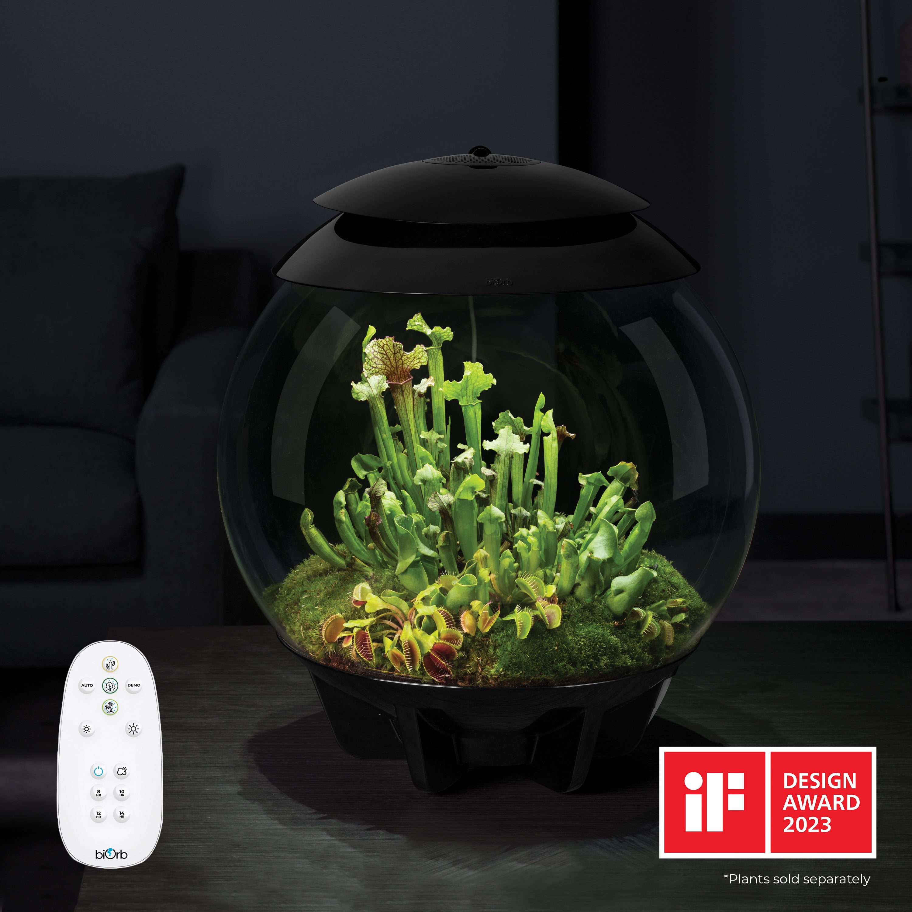 AIR 30 Terrarium - Black In Use