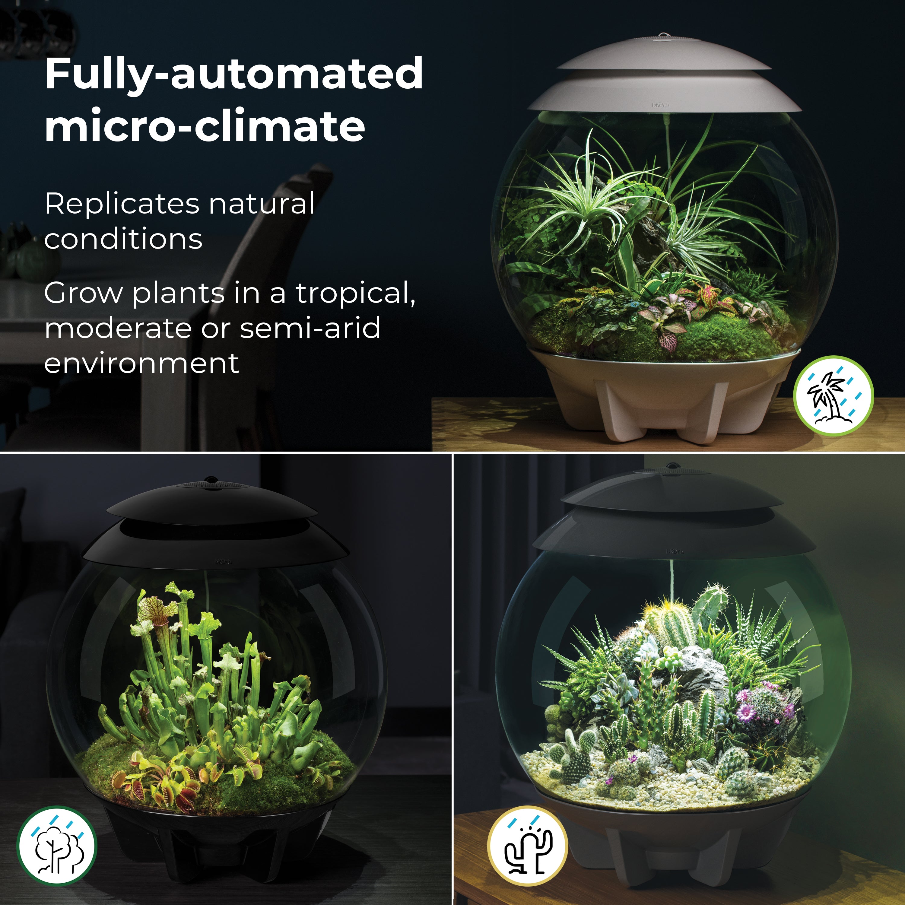 AIR 30 Terrarium - Fully-automated micro-climate