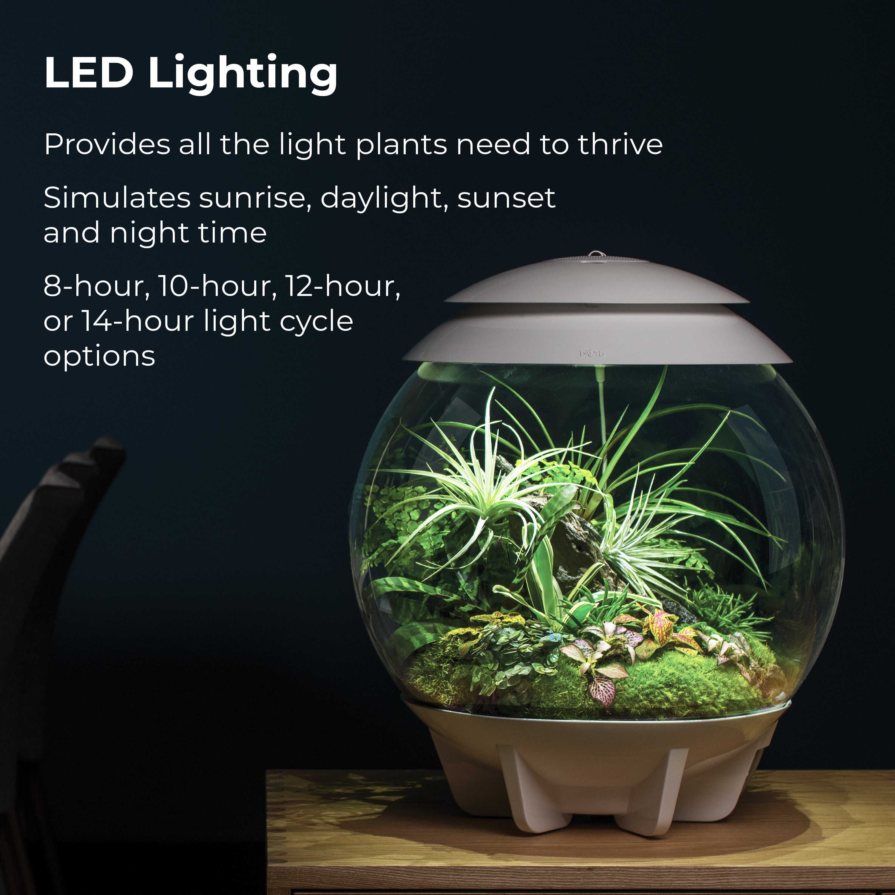 AIR 30 Terrarium - LED Lighting