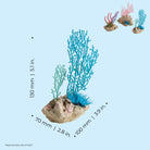 Seychelles Coral Fans & Shells Set of 3 - Dimensions