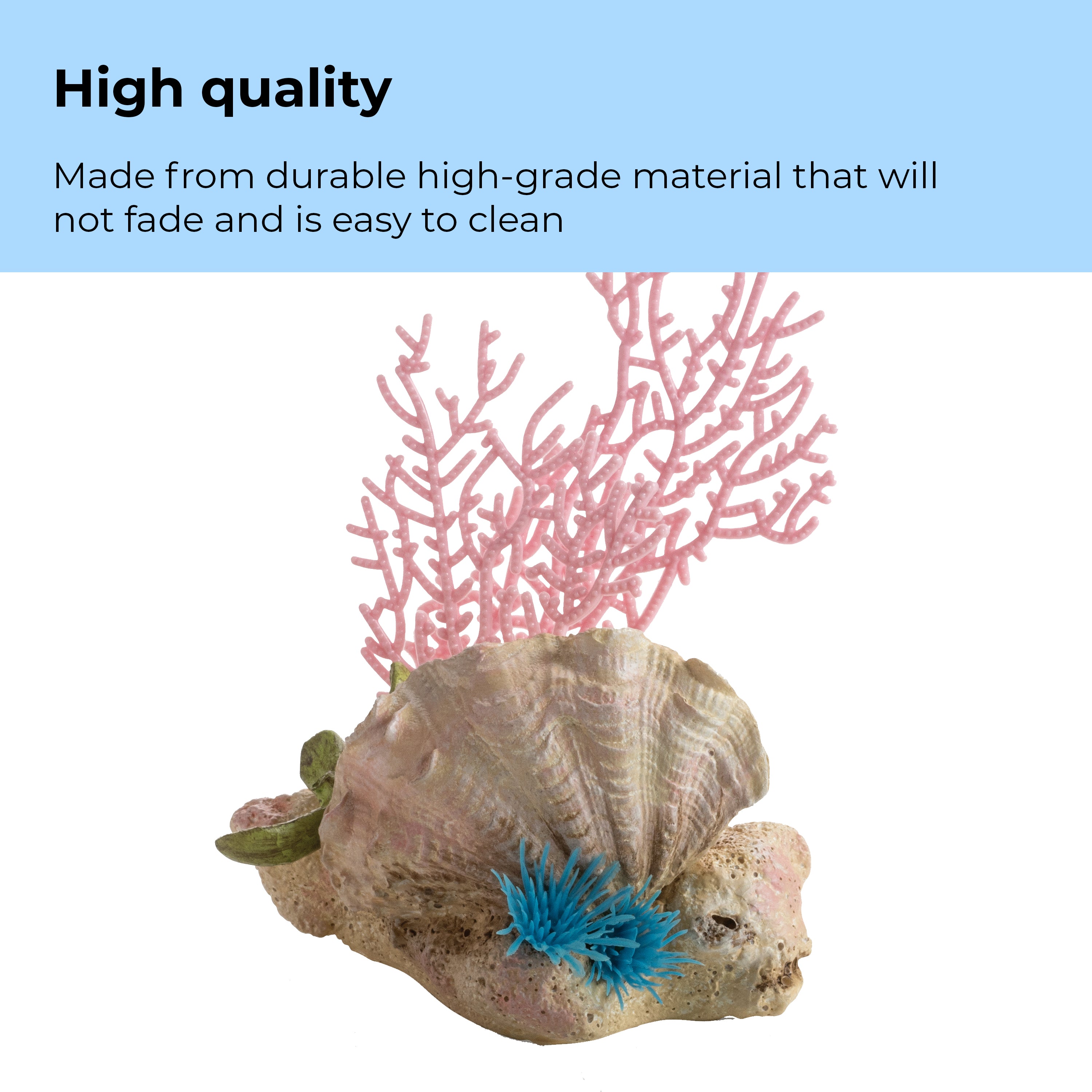 Seychelles Coral Fans & Shells Set of 3 - High quality