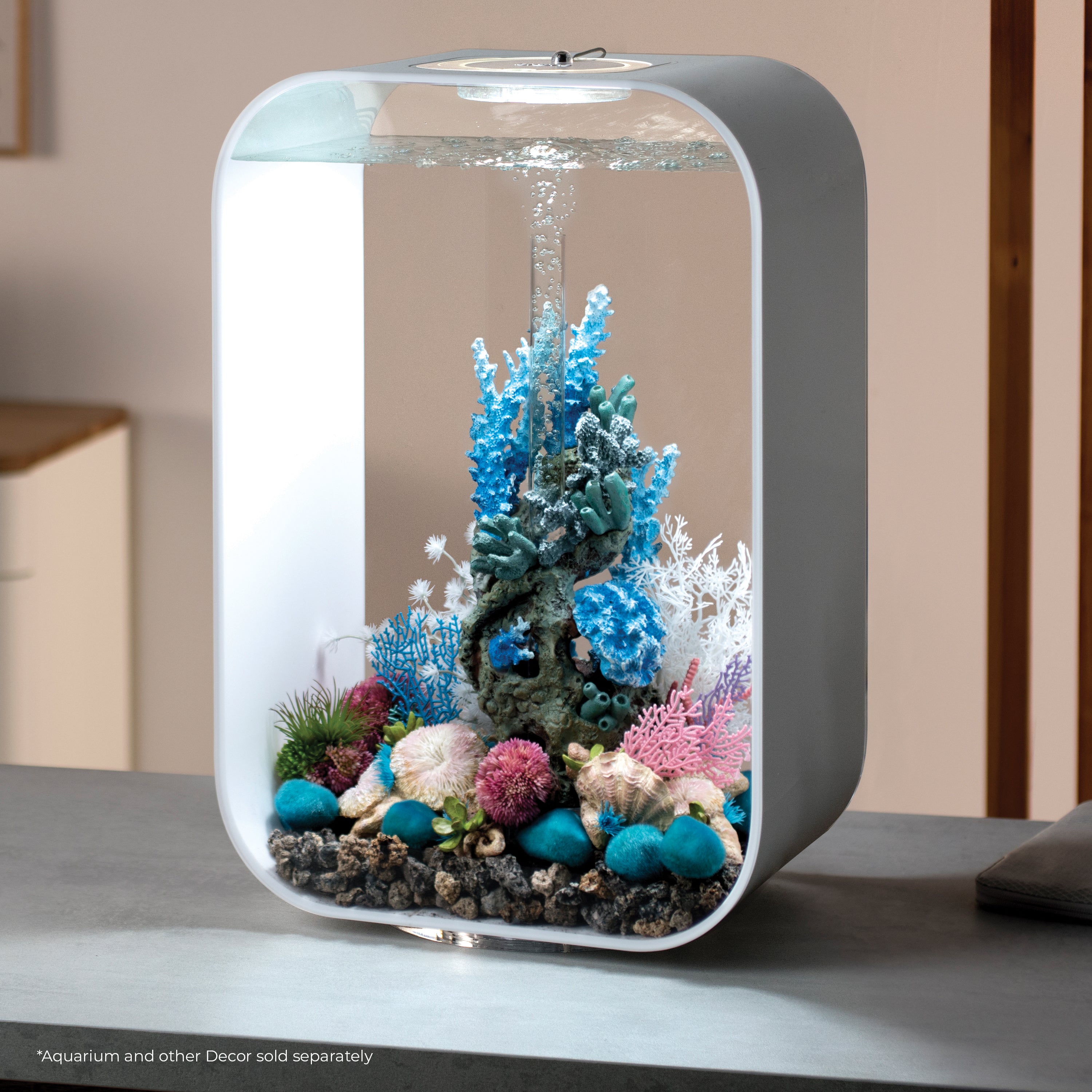 Seychelles Plate Corals & Button Polyps Set of 3 In Use