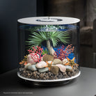 Medium Seychelles Palm Tree Sculpture In Use