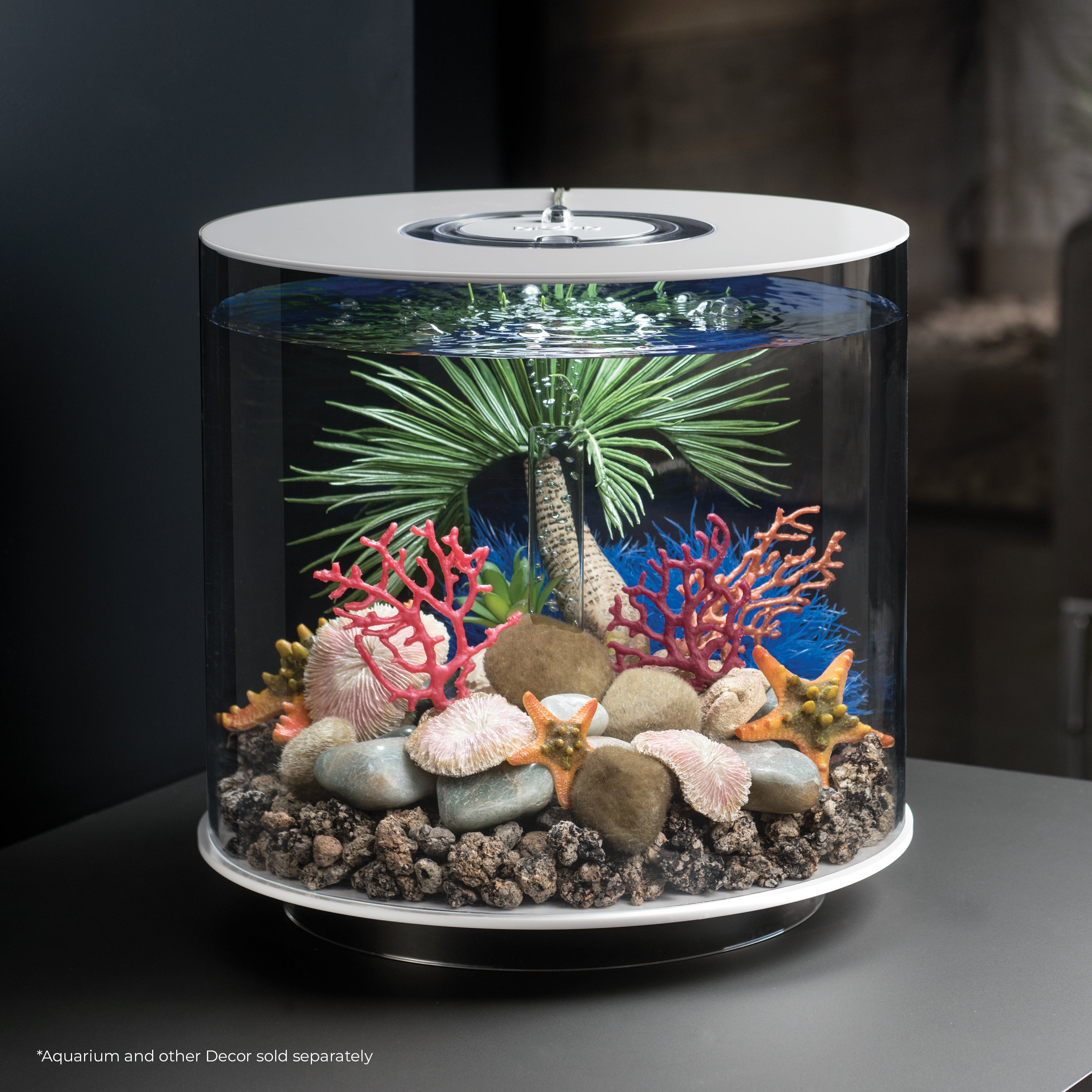 Medium Seychelles Palm Tree Sculpture In Use