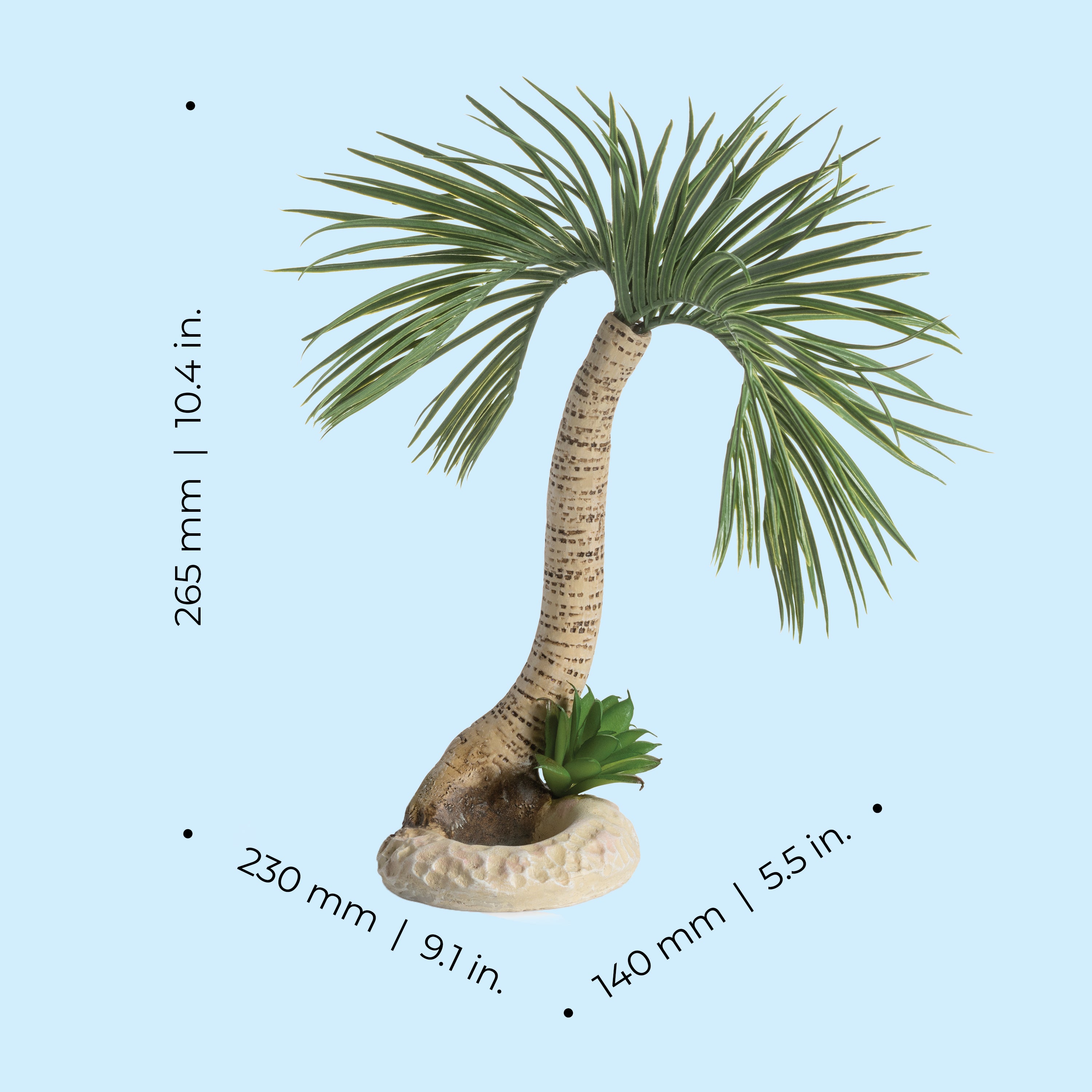 Large Seychelles Palm Tree Sculpture - Dimensions