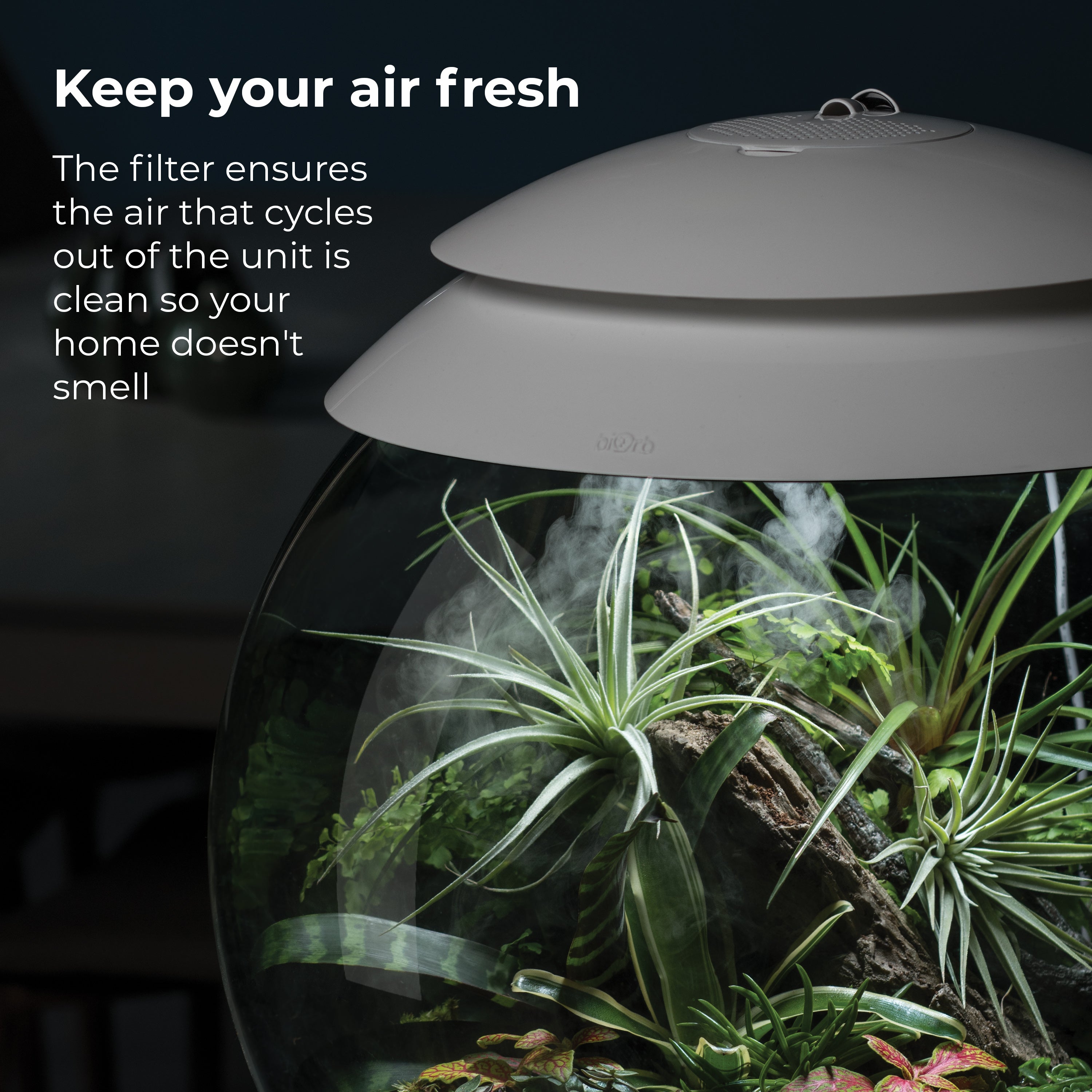 AIR 30 Filter Cartridge - Keep your air fresh