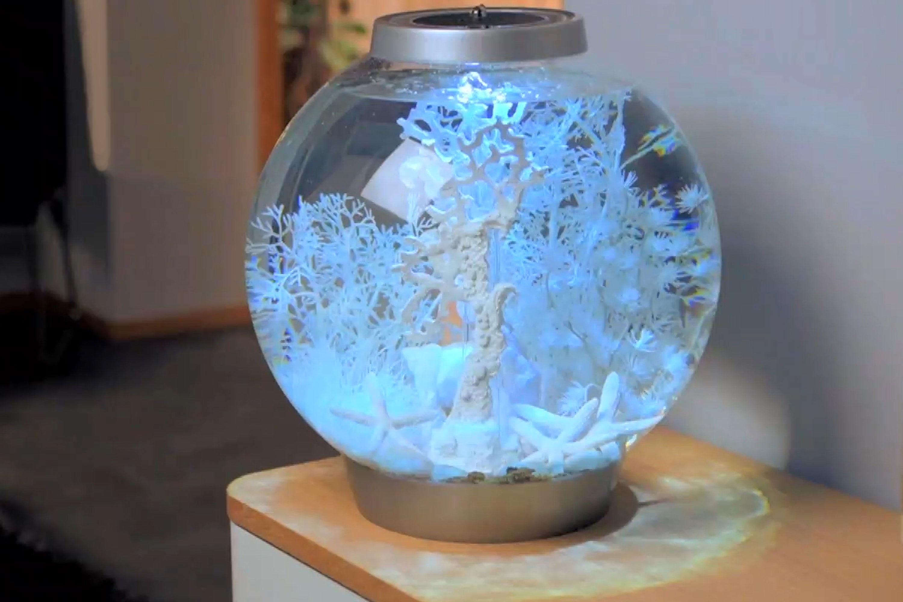 Winter Dream Décor Set In use