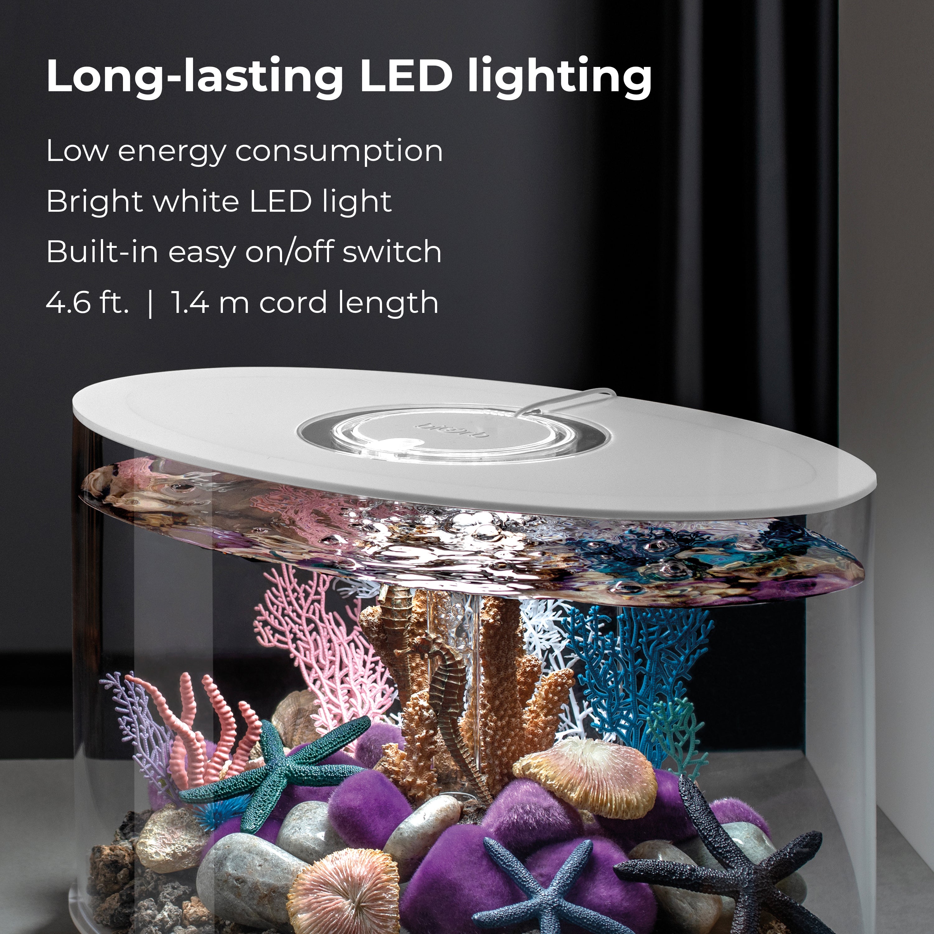 LOOP 15 Aquarium with Standard White LED Light - Long-lasting LED lighting