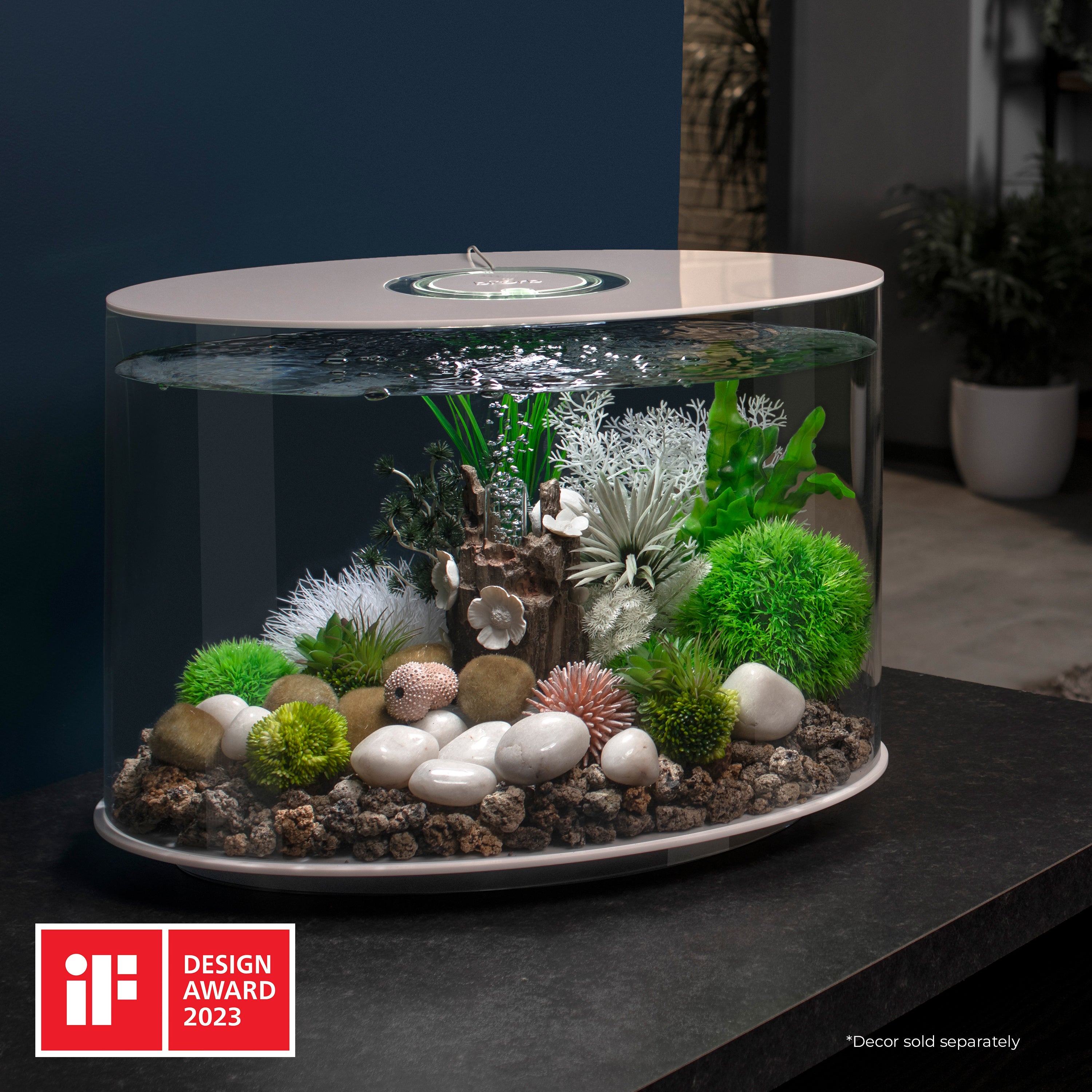 LOOP 30 Aquarium with Standard White LED Light - White In Use