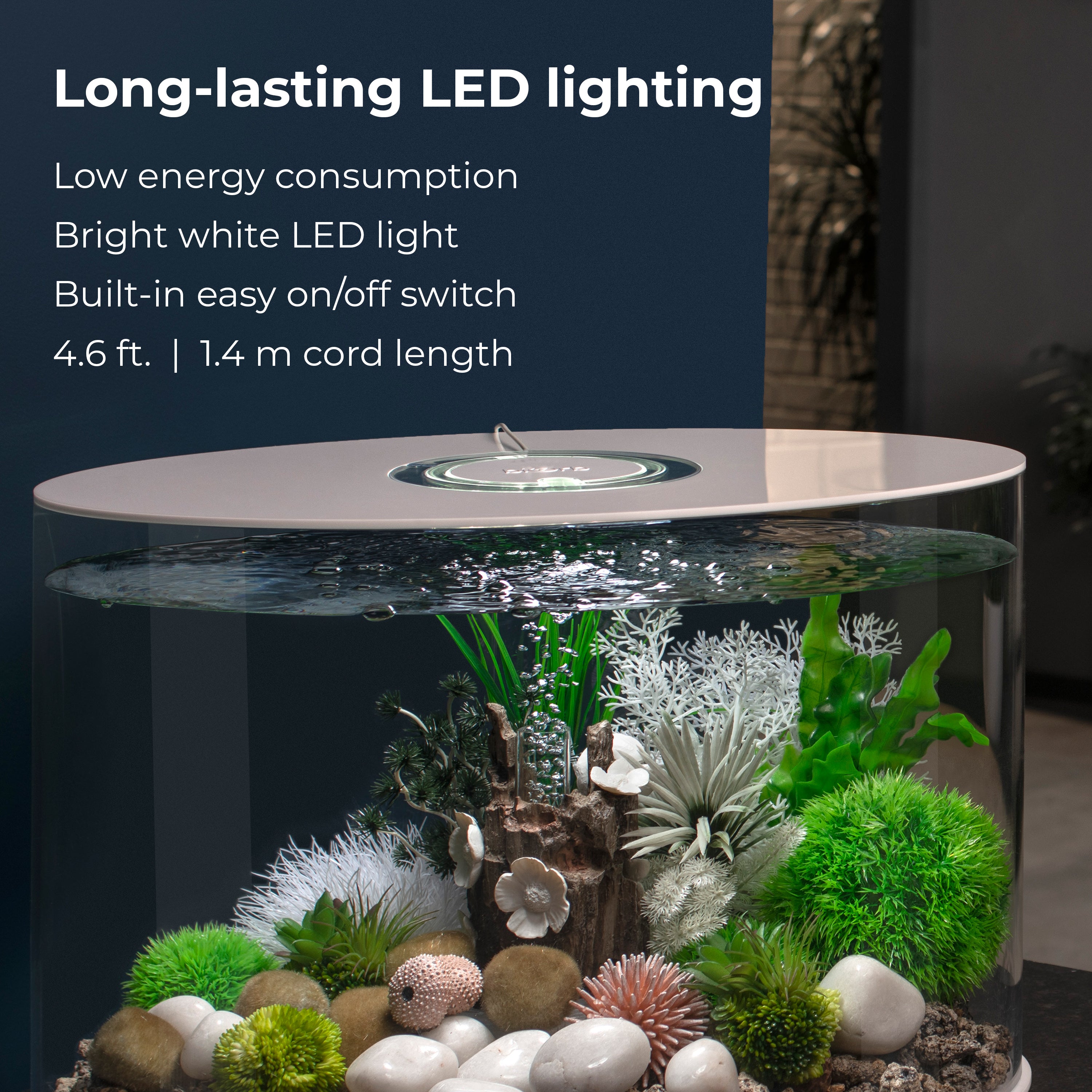 LOOP 30 Aquarium with Standard White LED Light - Long-lasting LED lighting