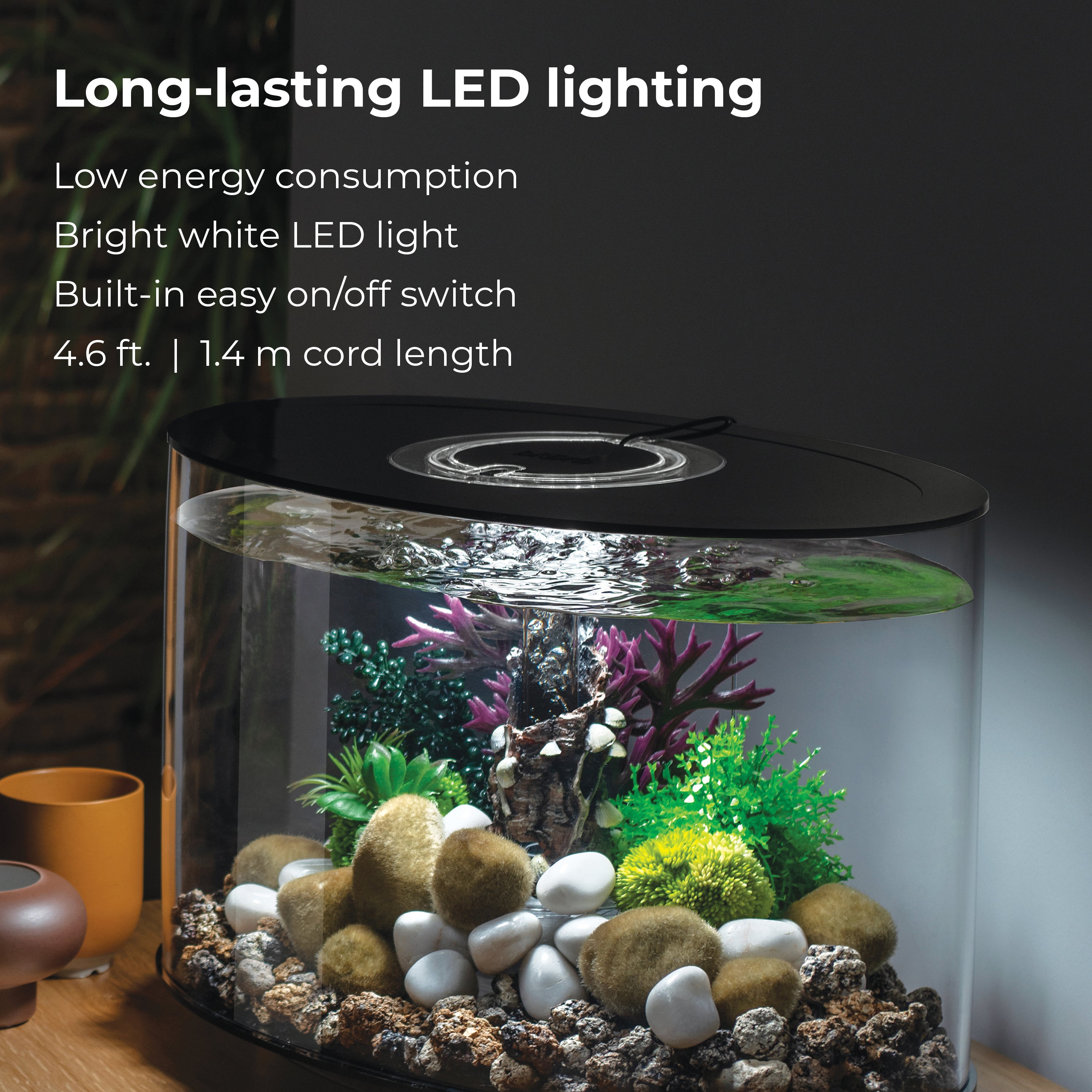 LOOP 15 Aquarium with Standard White LED Light - Long-lasting LED lighting