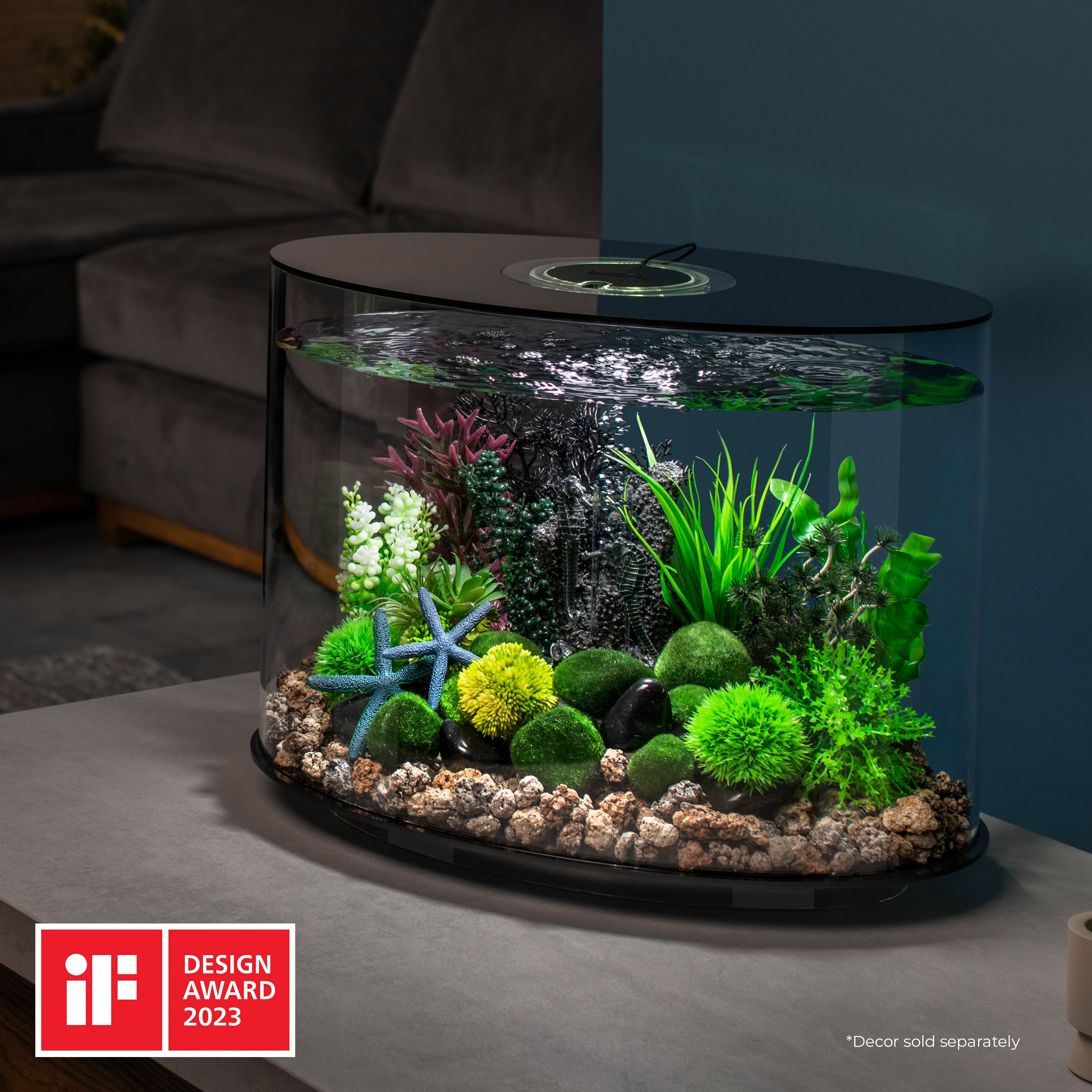 LOOP 30 Aquarium with Standard White LED Light - Black In Use