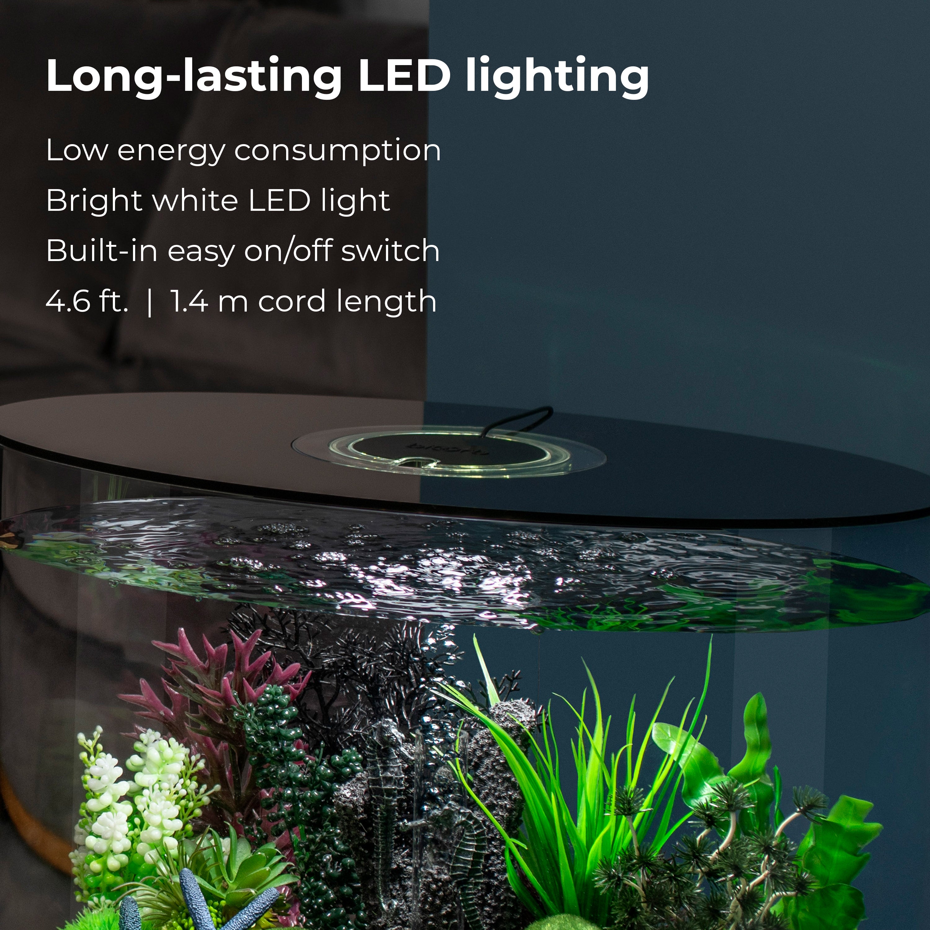 LOOP 30 Aquarium with Standard White LED Light - Long-lasting LED lighting