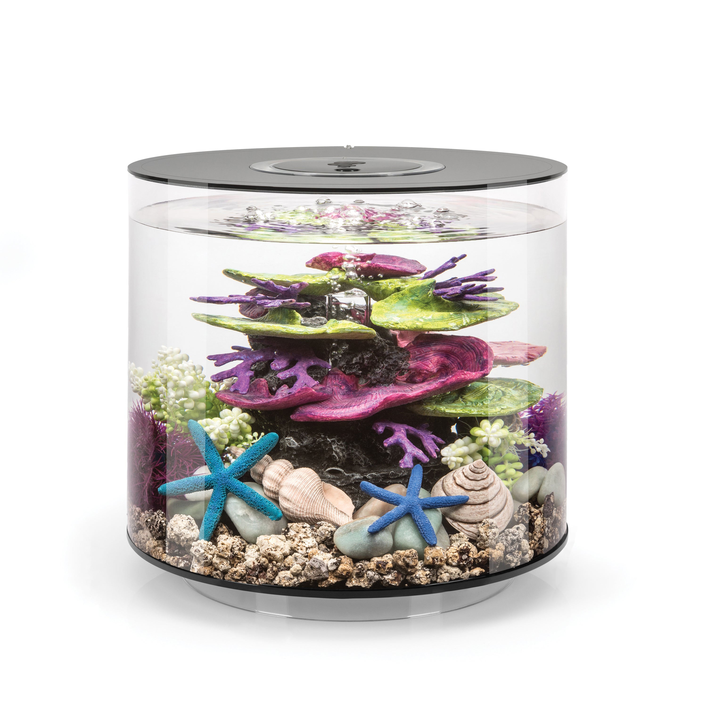 TUBE 15 Aquarium with Standard White LED Light - Black