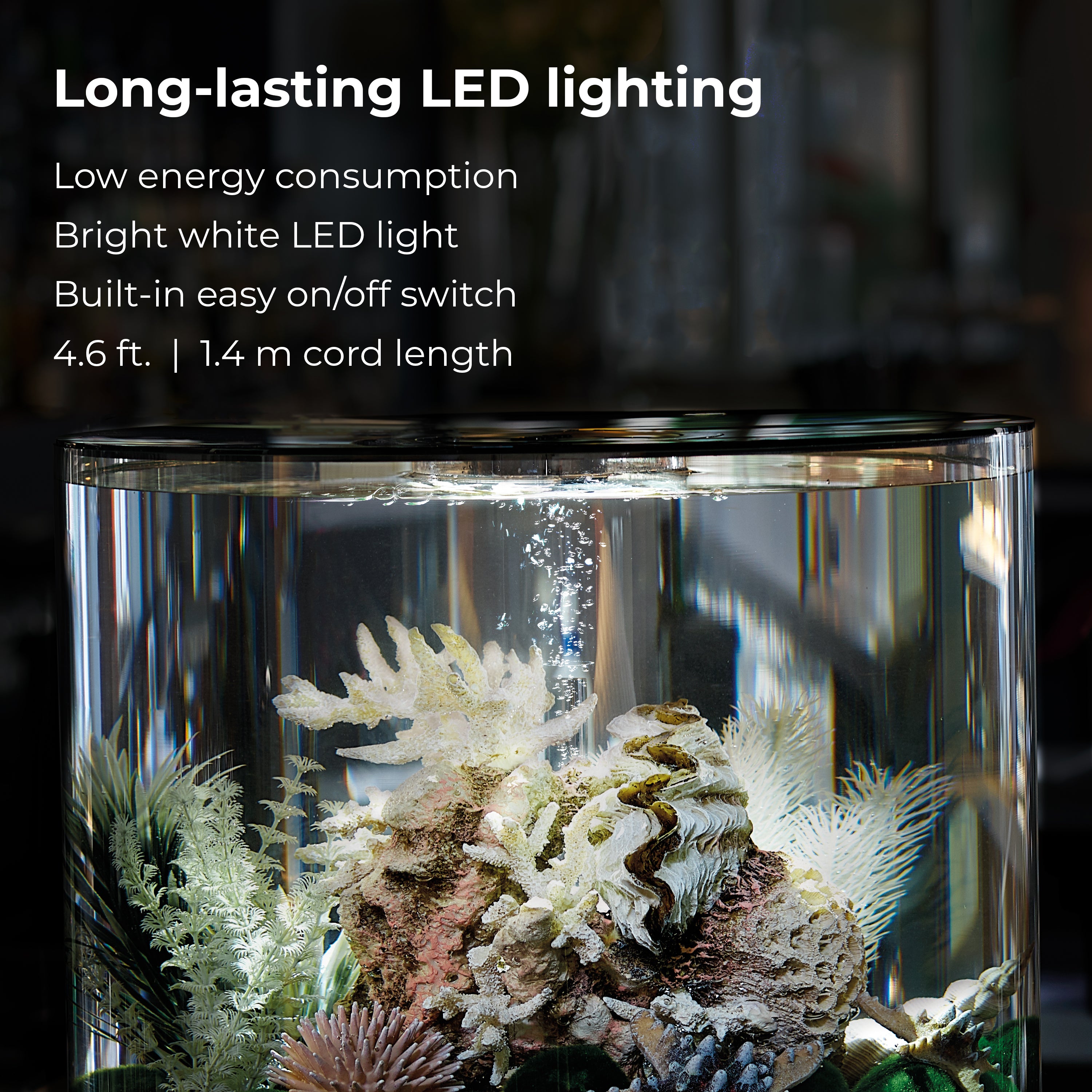 TUBE 15 Aquarium with Standard White LED Light - Long-lasting LED lighting