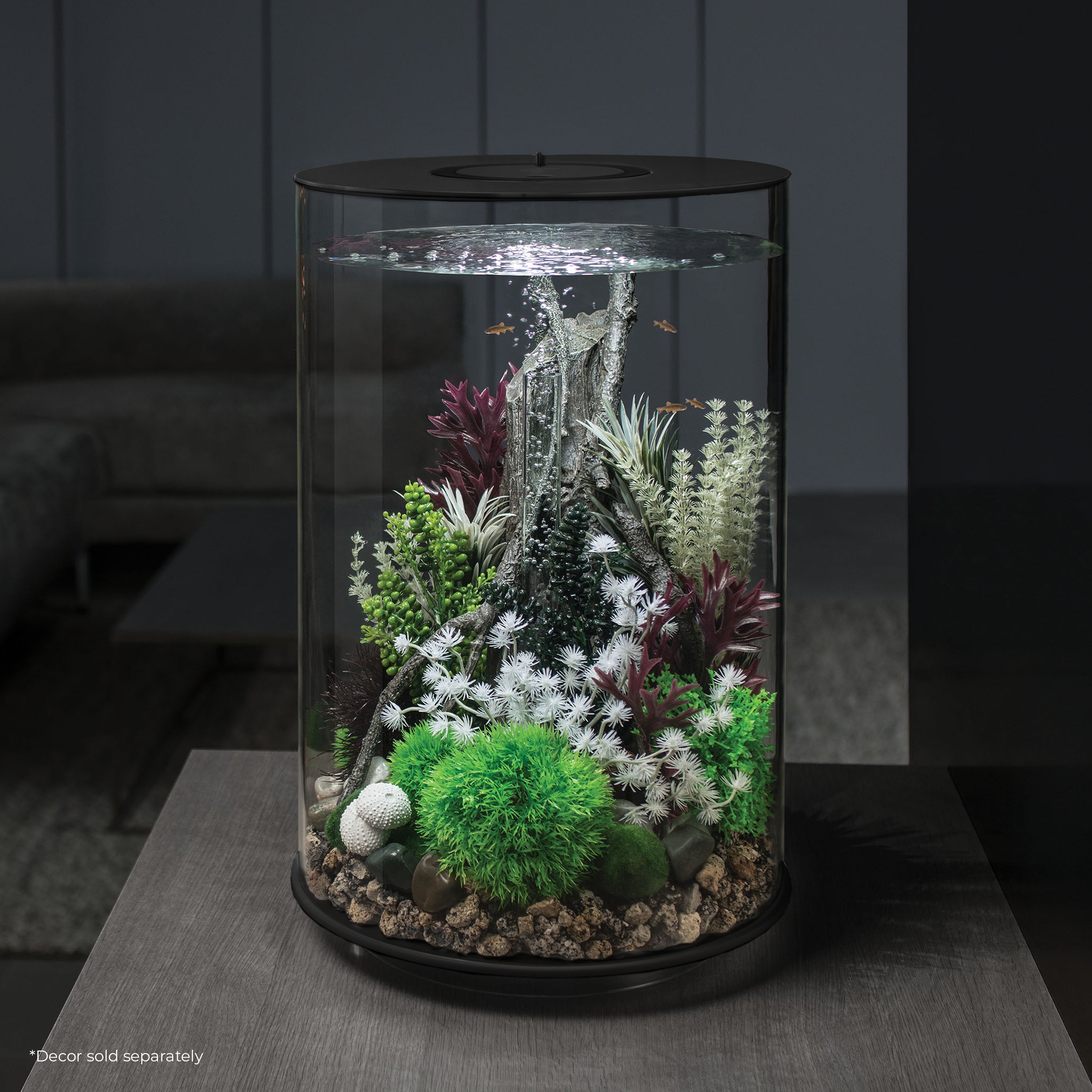 TUBE 30 Aquarium with Standard White LED Light - Black in use