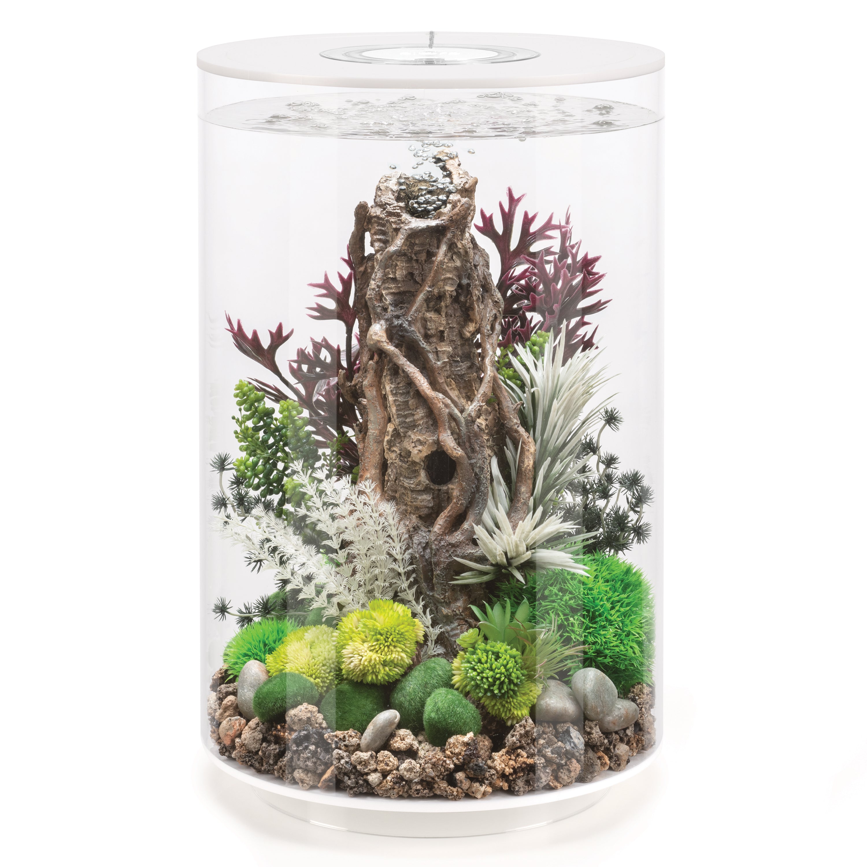 TUBE 30 Aquarium with Standard White LED Light - White