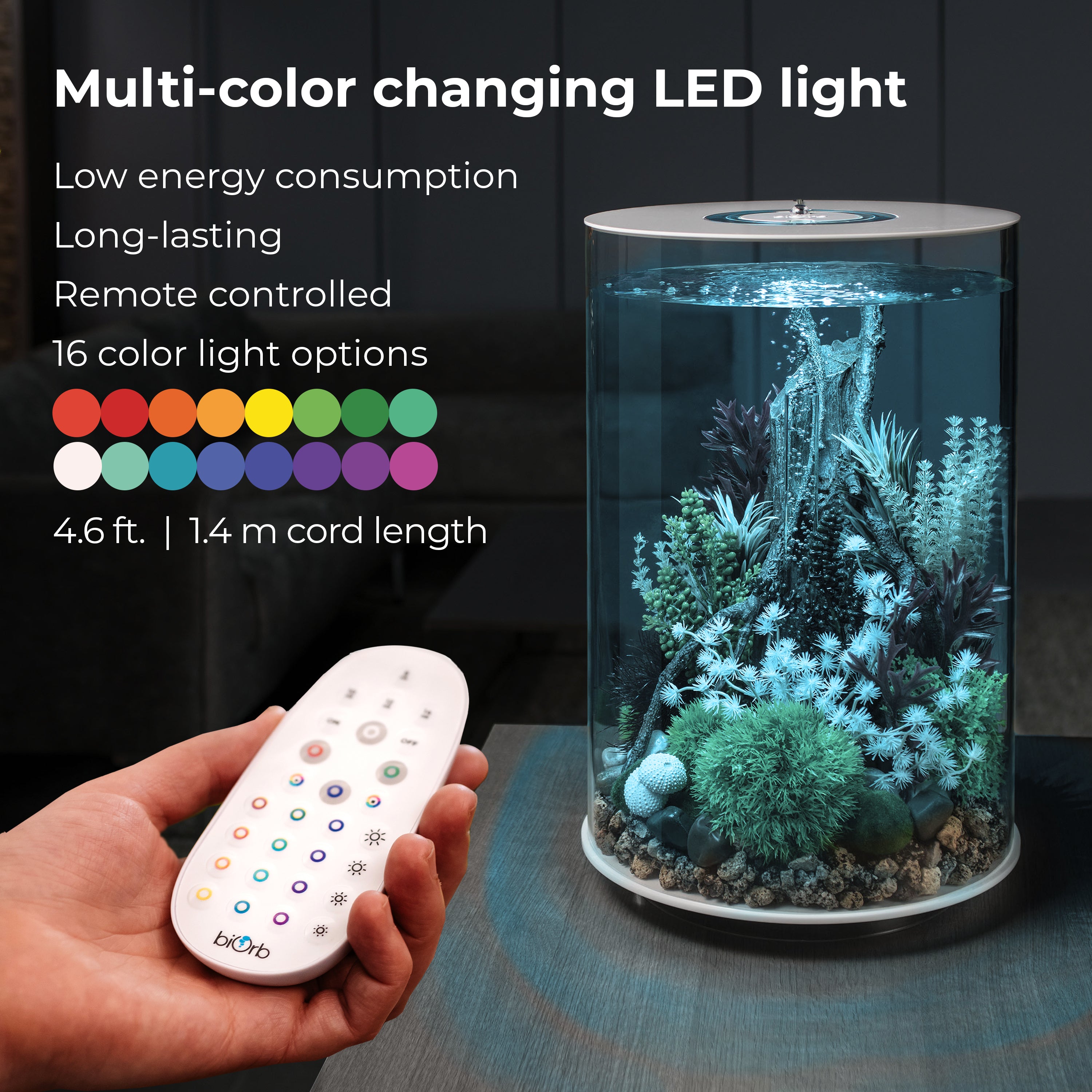 TUBE 30 Aquarium with Multi Colour LED Light - Multi-color changing LED light