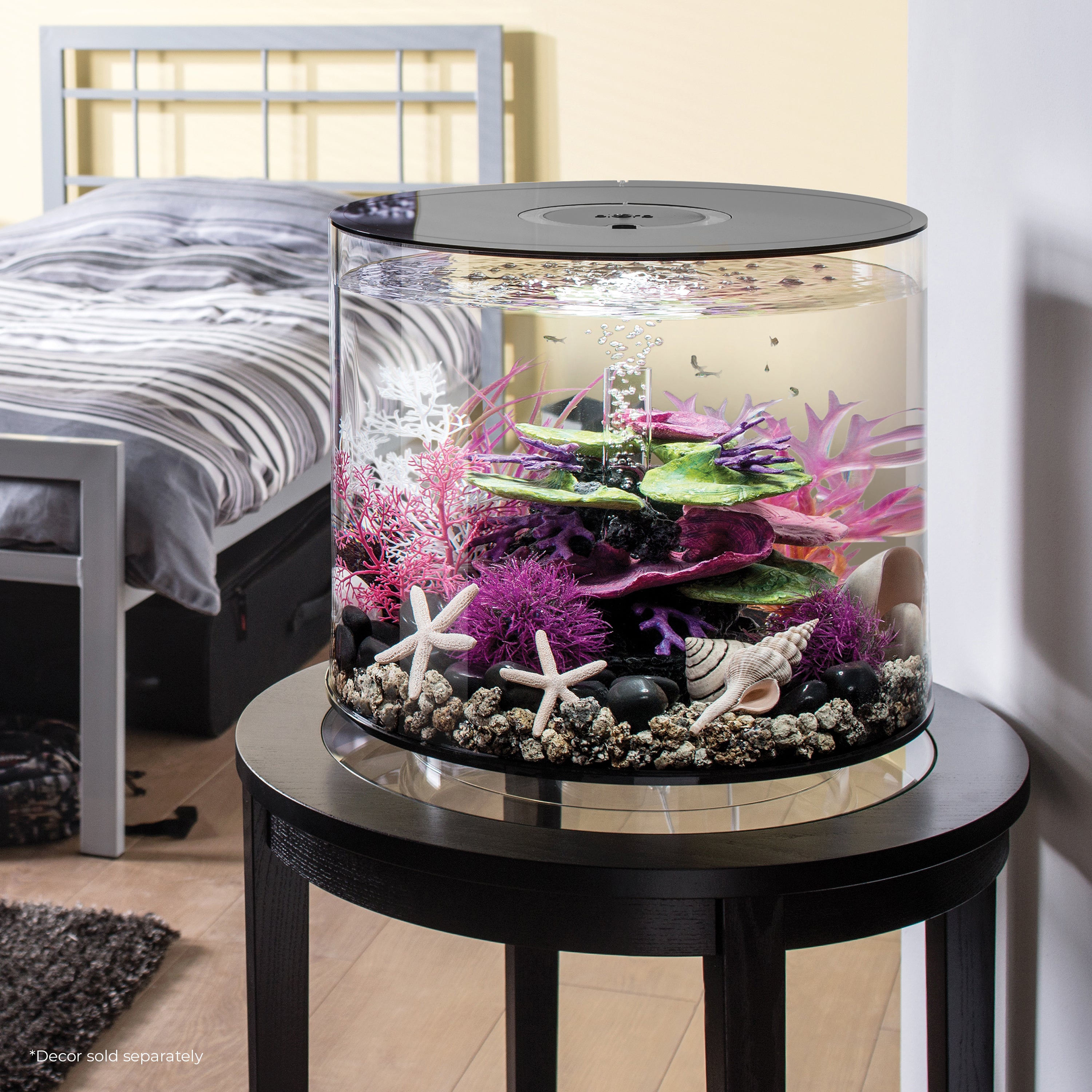 TUBE 35 Aquarium with Standard White LED Light - Black In Use