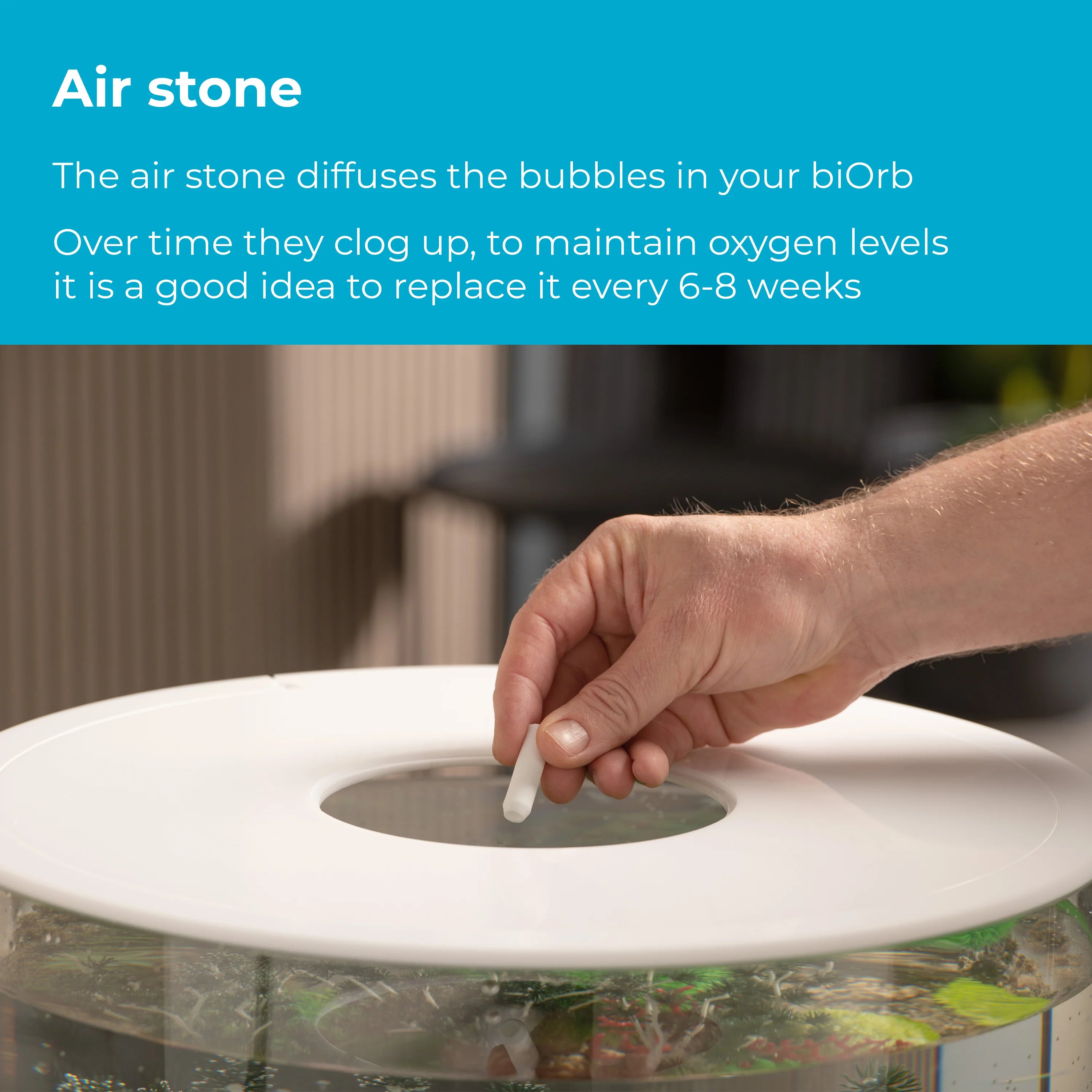 Service Kit 6 Value Pack - Air Stone