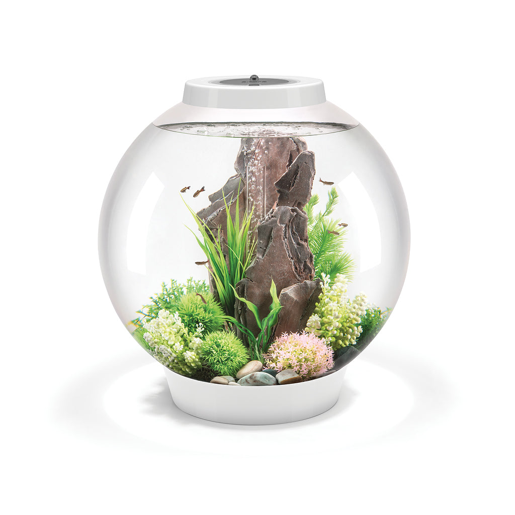 CLASSIC 60 Aquarium with Standard White LED Light - White
