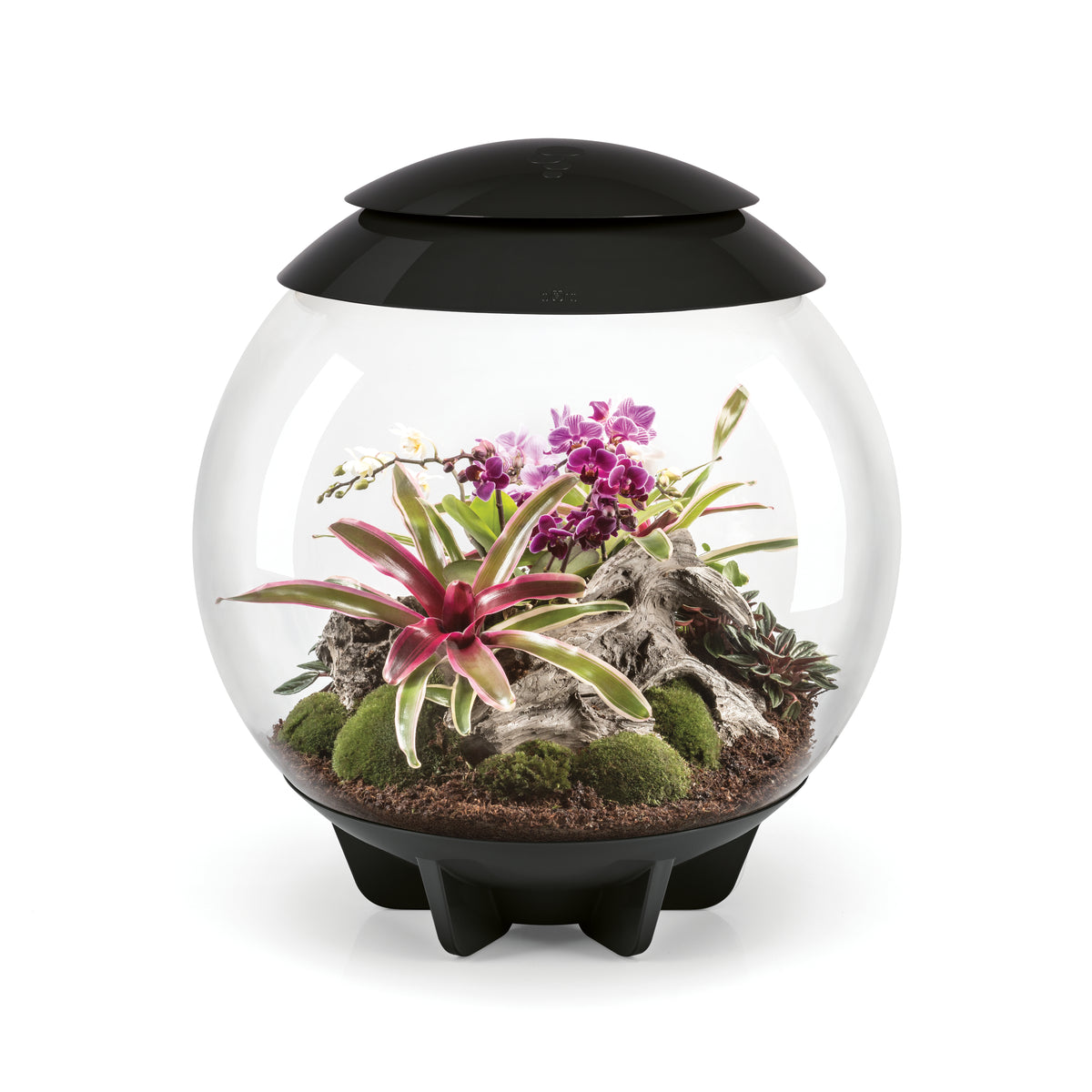 AIR 60 Terrarium