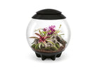 AIR 60 Terrarium