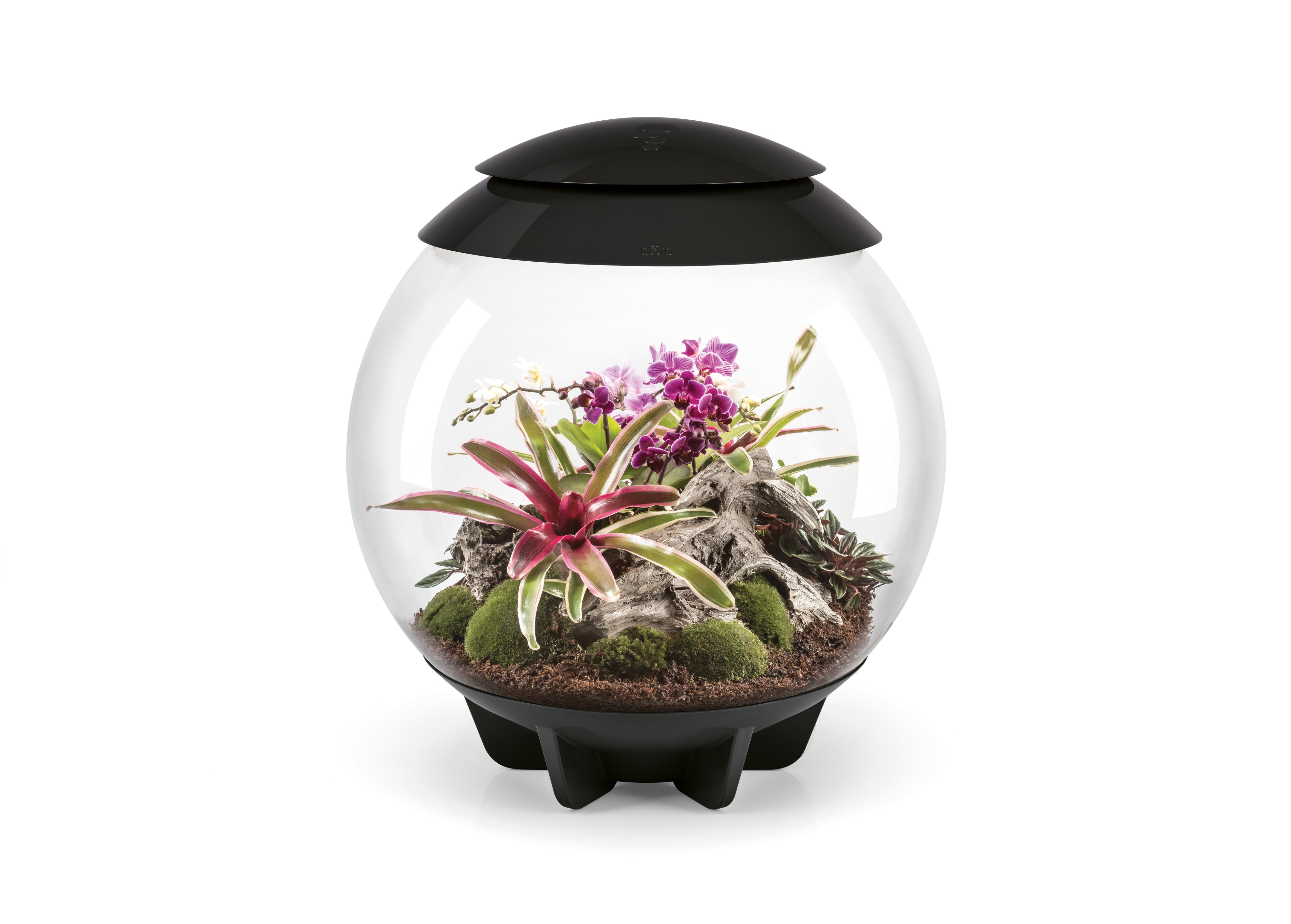 AIR 60 Terrarium