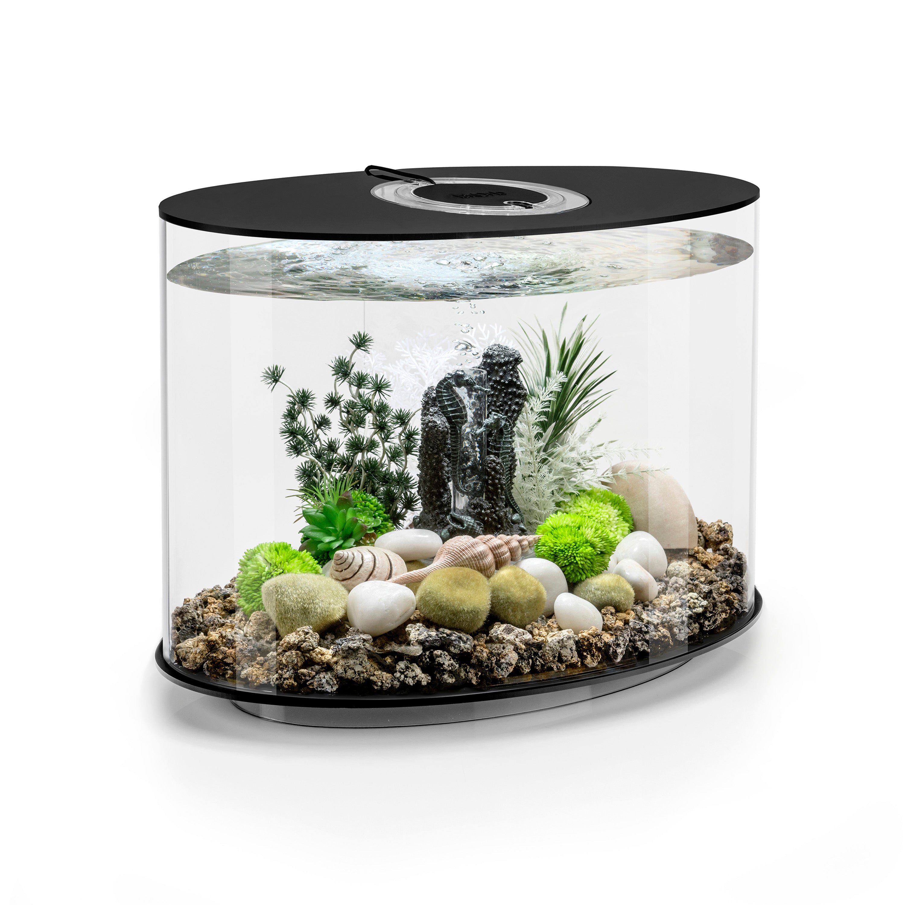 LOOP 30 Aquarium with Standard White LED Light - Black