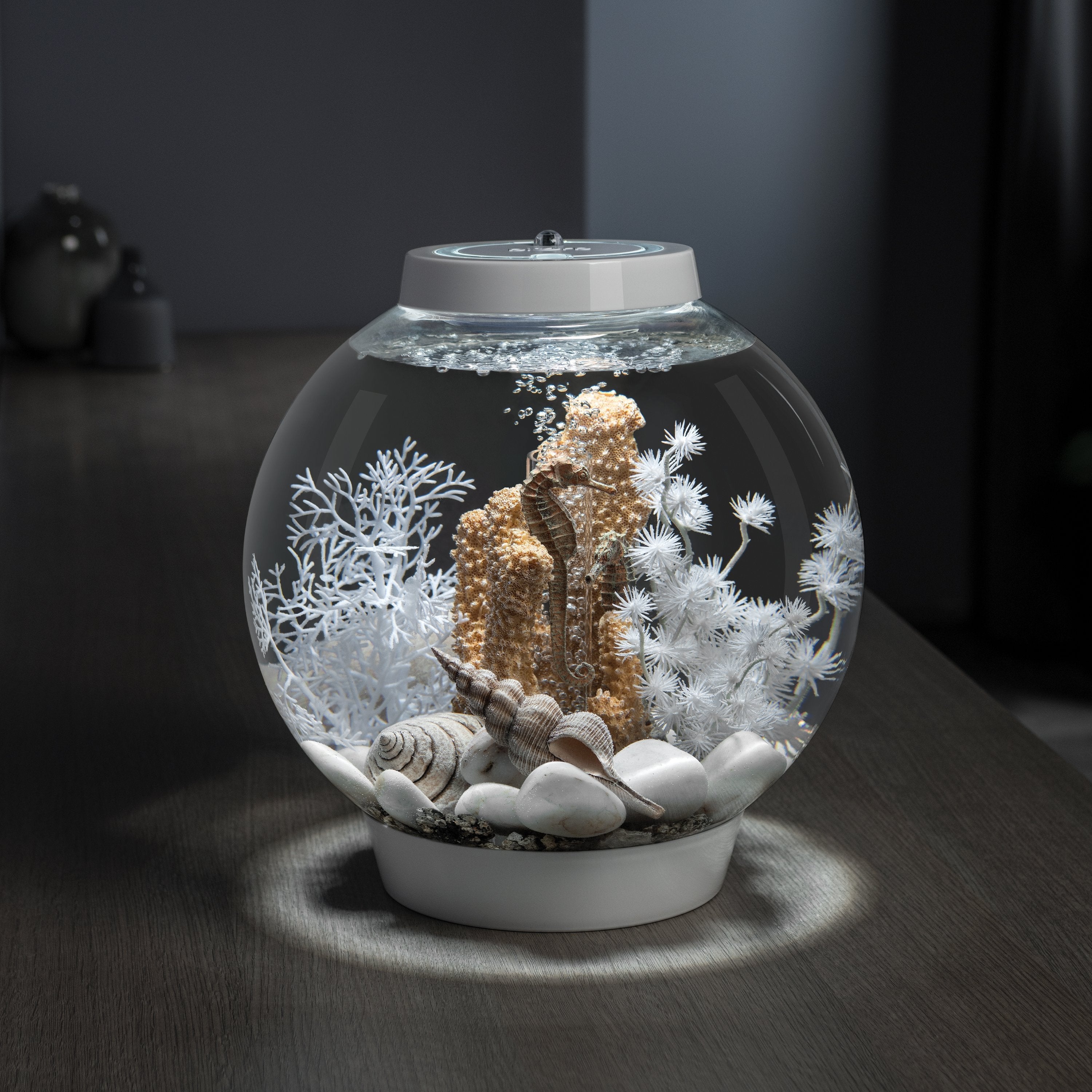 CLASSIC 15 Aquarium with Multi Colour LED Light - White In Use