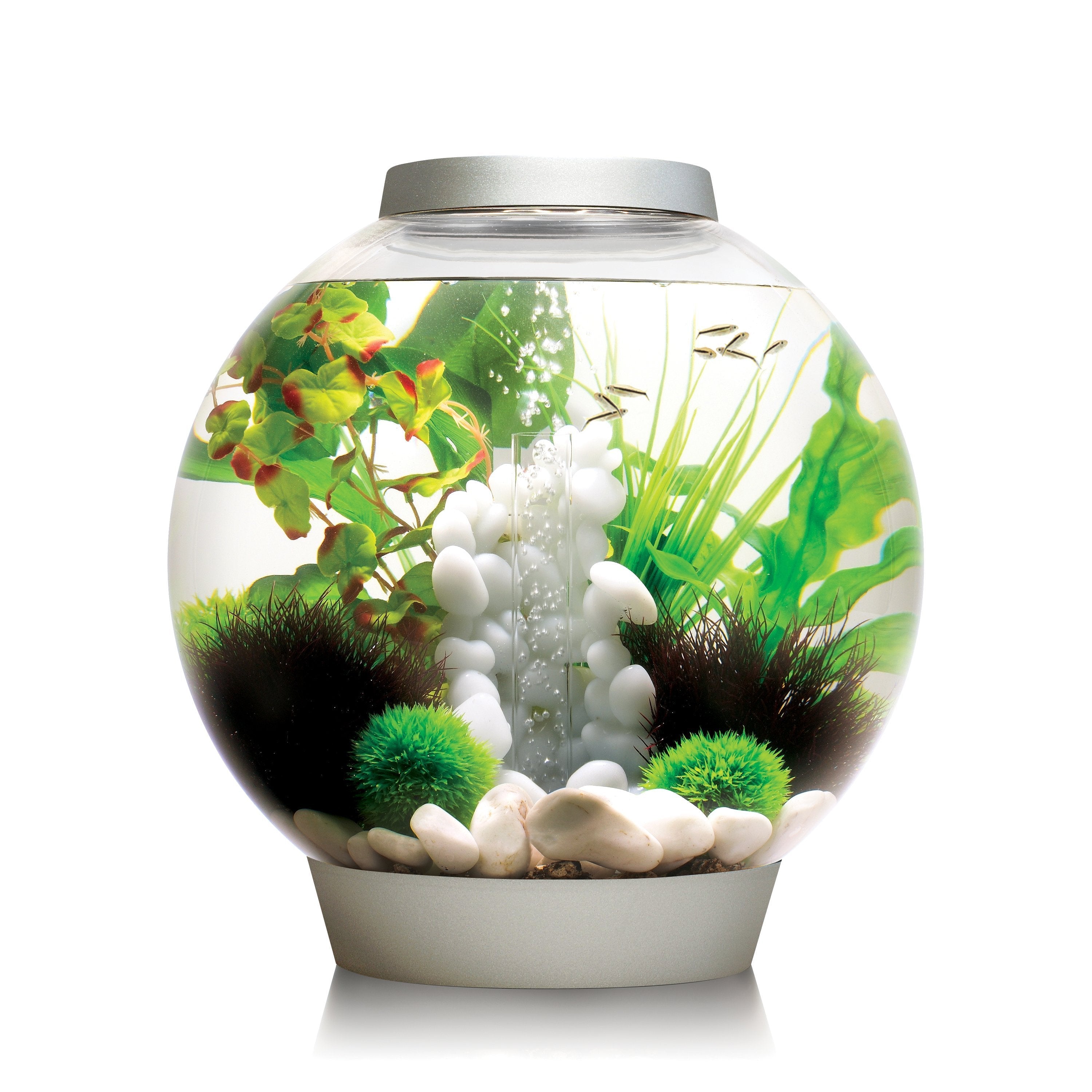 biOrb CLASSIC 30 Aquarium available in silver