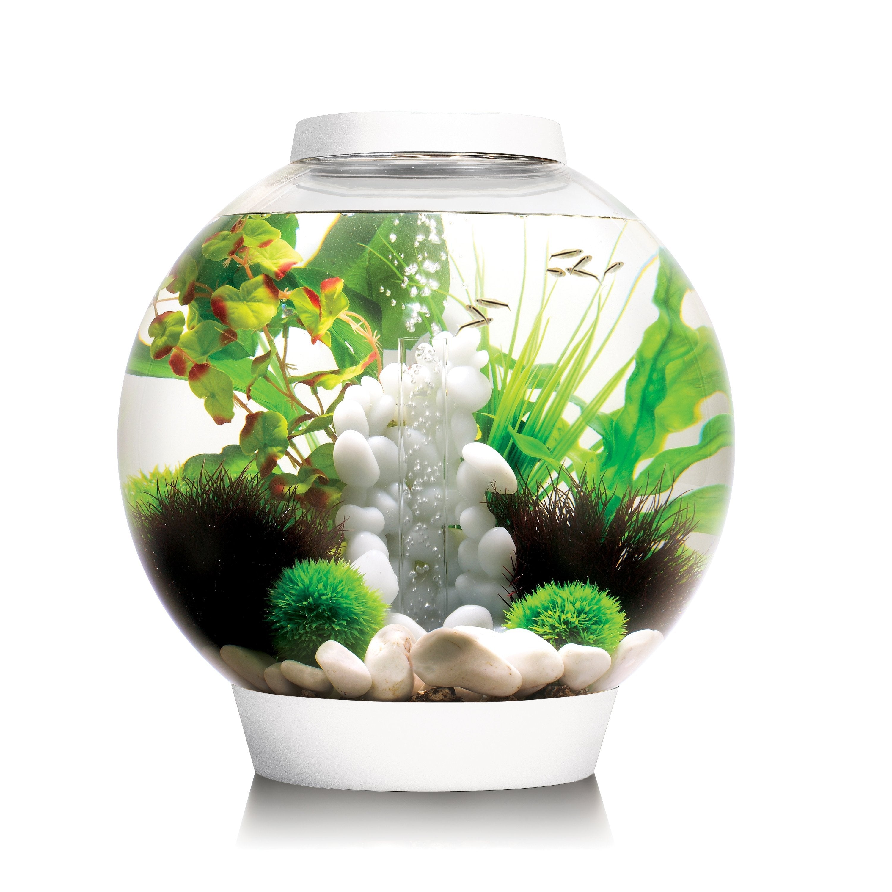 CLASSIC 30 Aquarium with Standard White LED Light - White