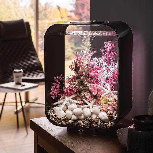 LIFE 15 Aquarium with Standard White LED Light - Black In Use