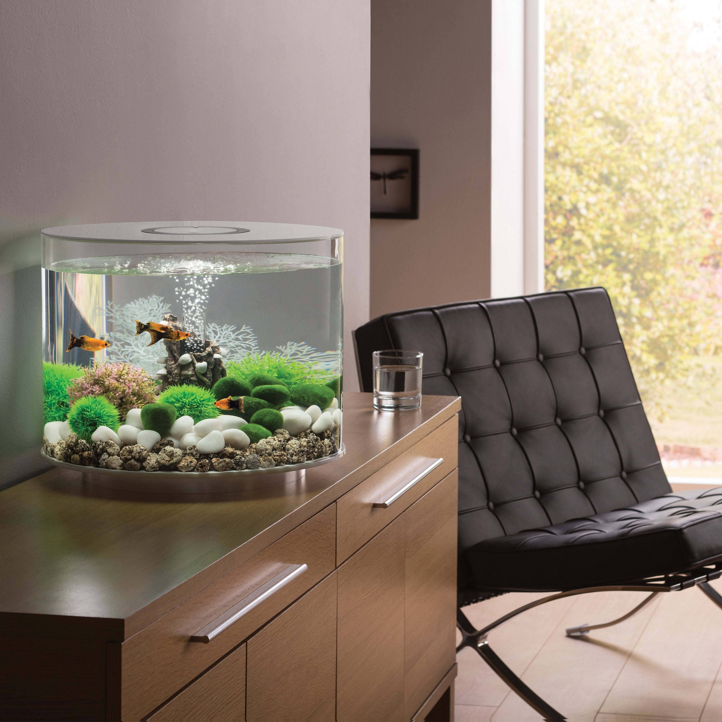 TUBE 35 Aquarium with Standard White LED Light - White In Use