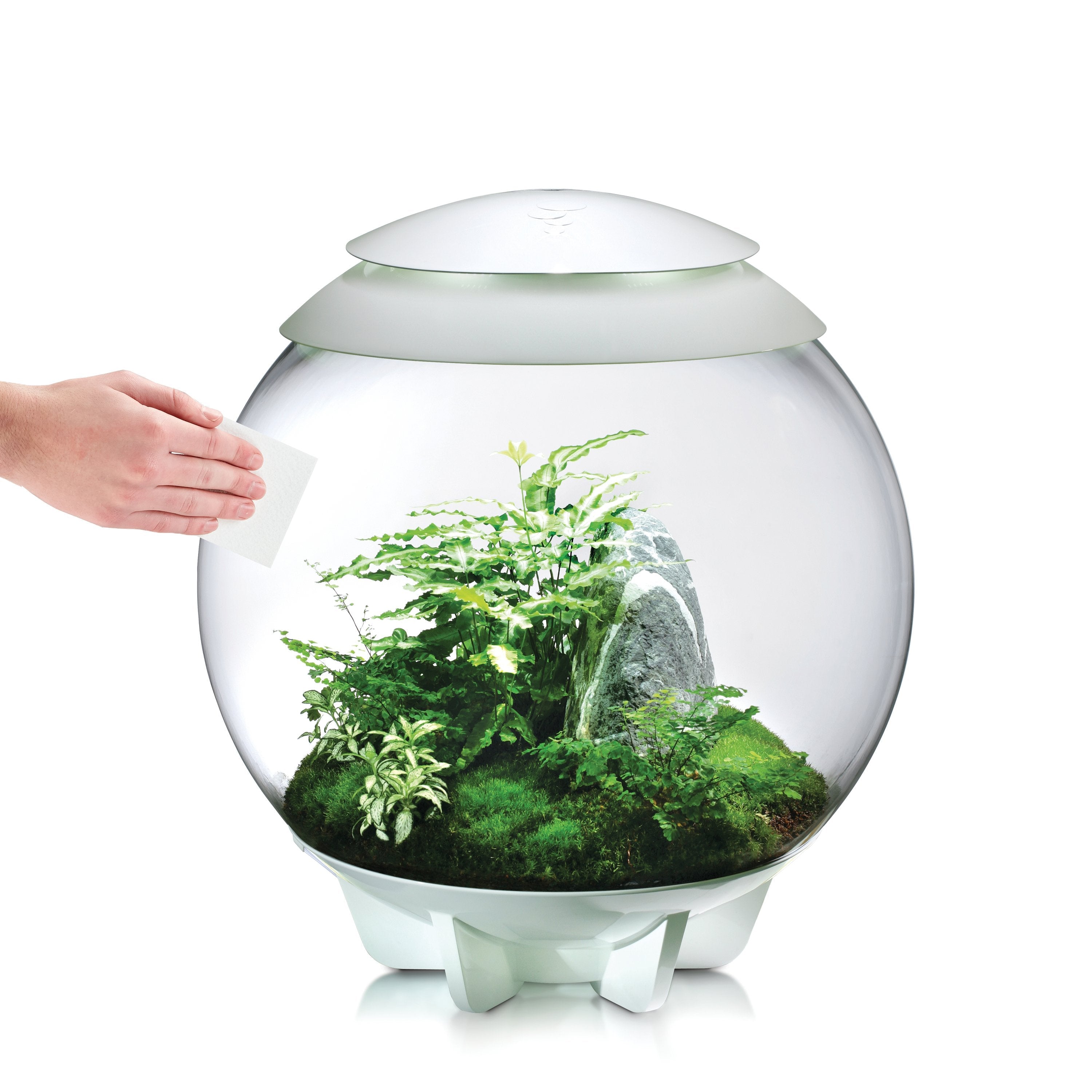 biOrb Scratch Remover and Polish Pack external use on acrylic terrarium