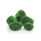 Moss Pebbles Set - Green