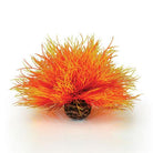 Sea Lily - Orange