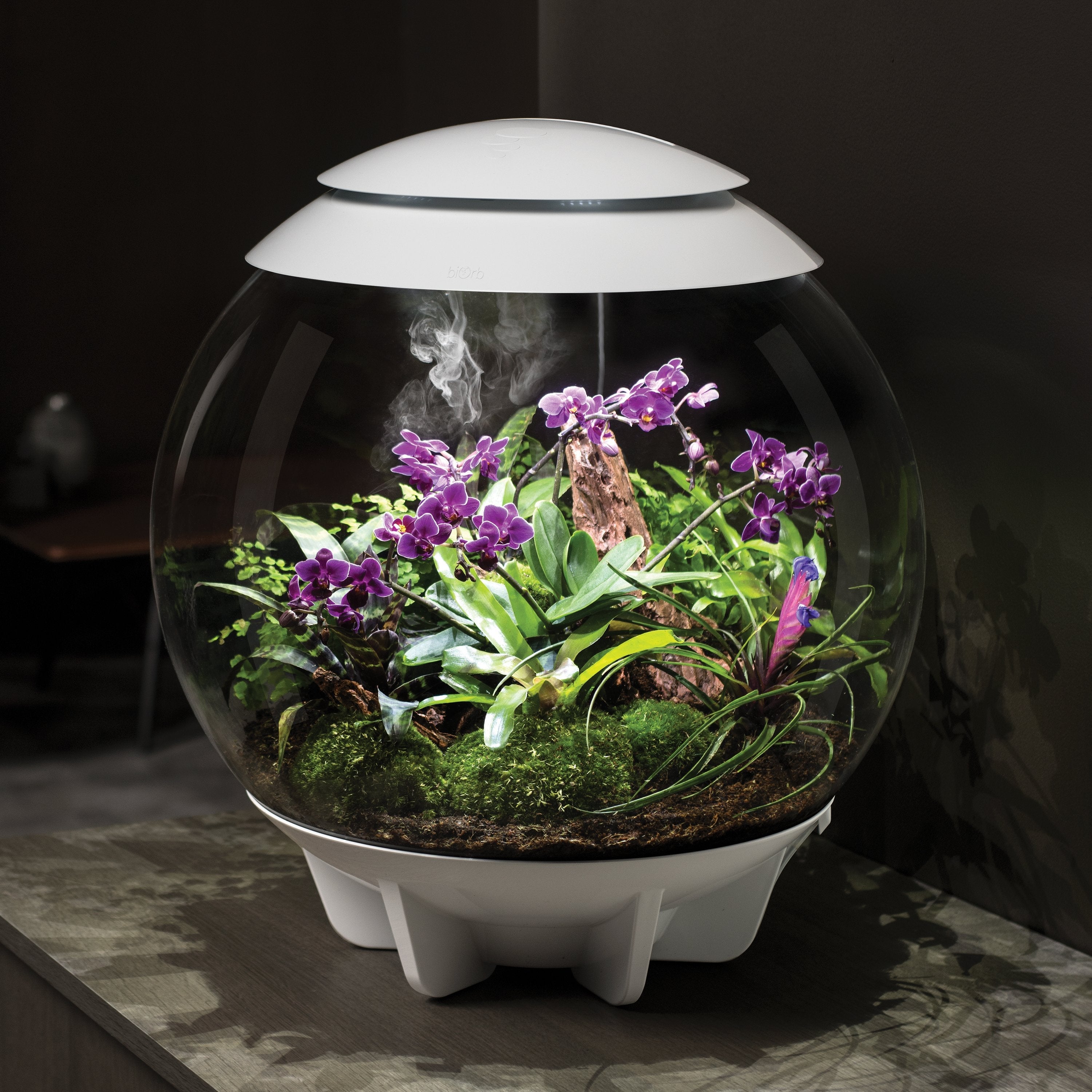AIR 60 LED Terrarium - White In Use