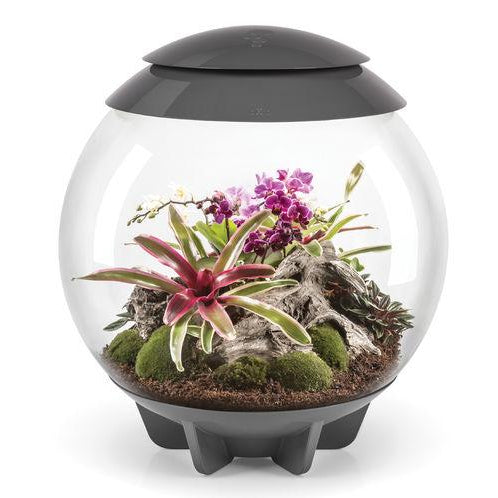 AIR 60 Terrarium - Grey